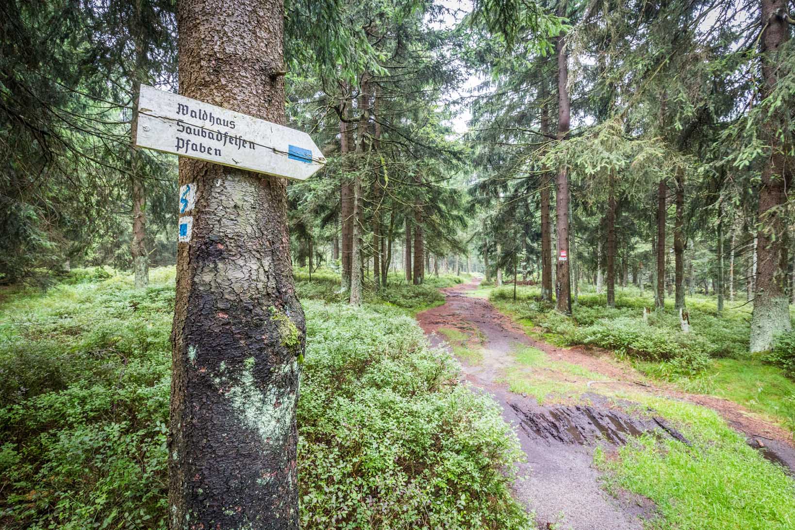 Naturpark Steinwald - Erbendorf