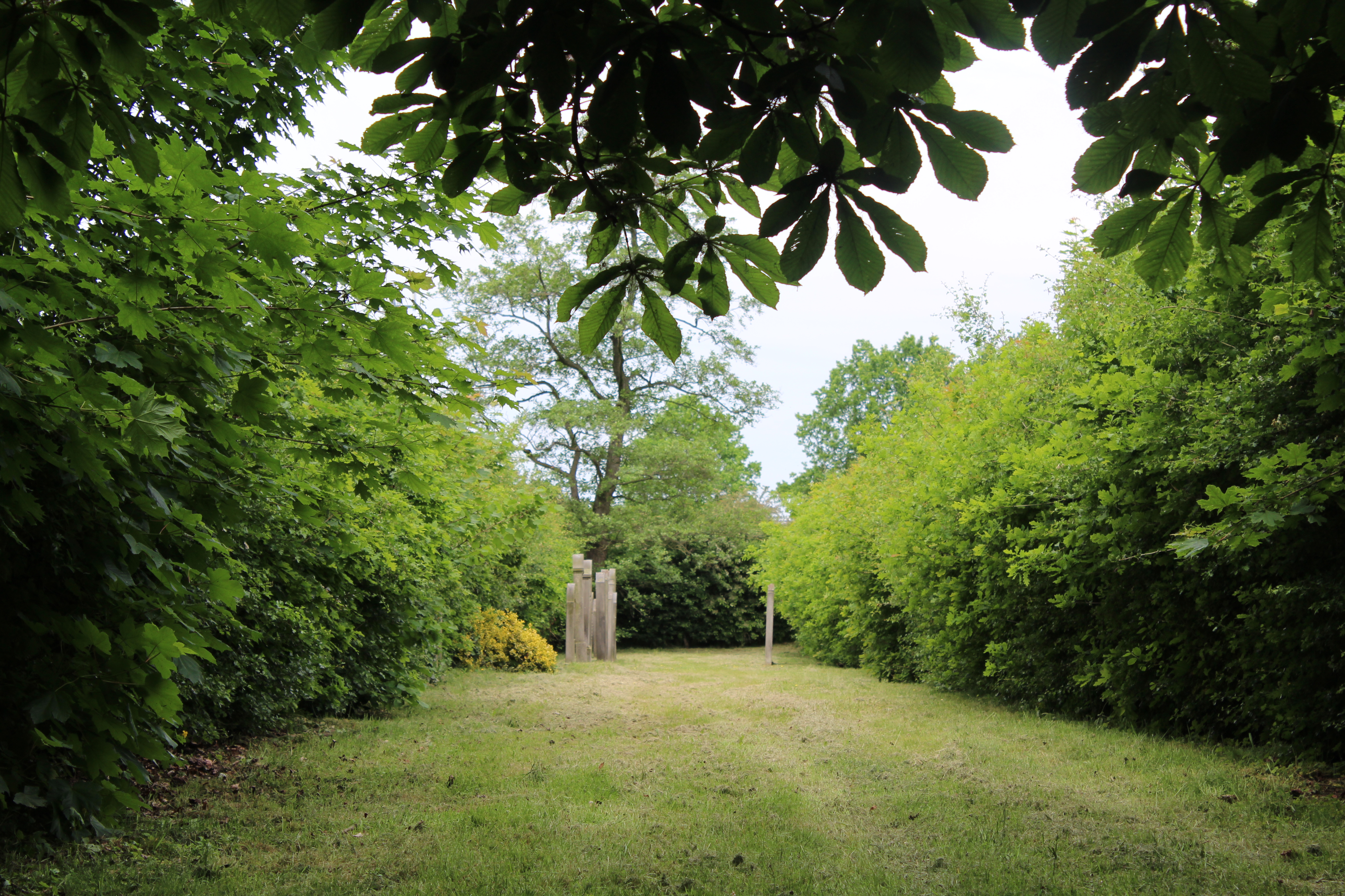 Jüdischer Friedhof Fiefhusen