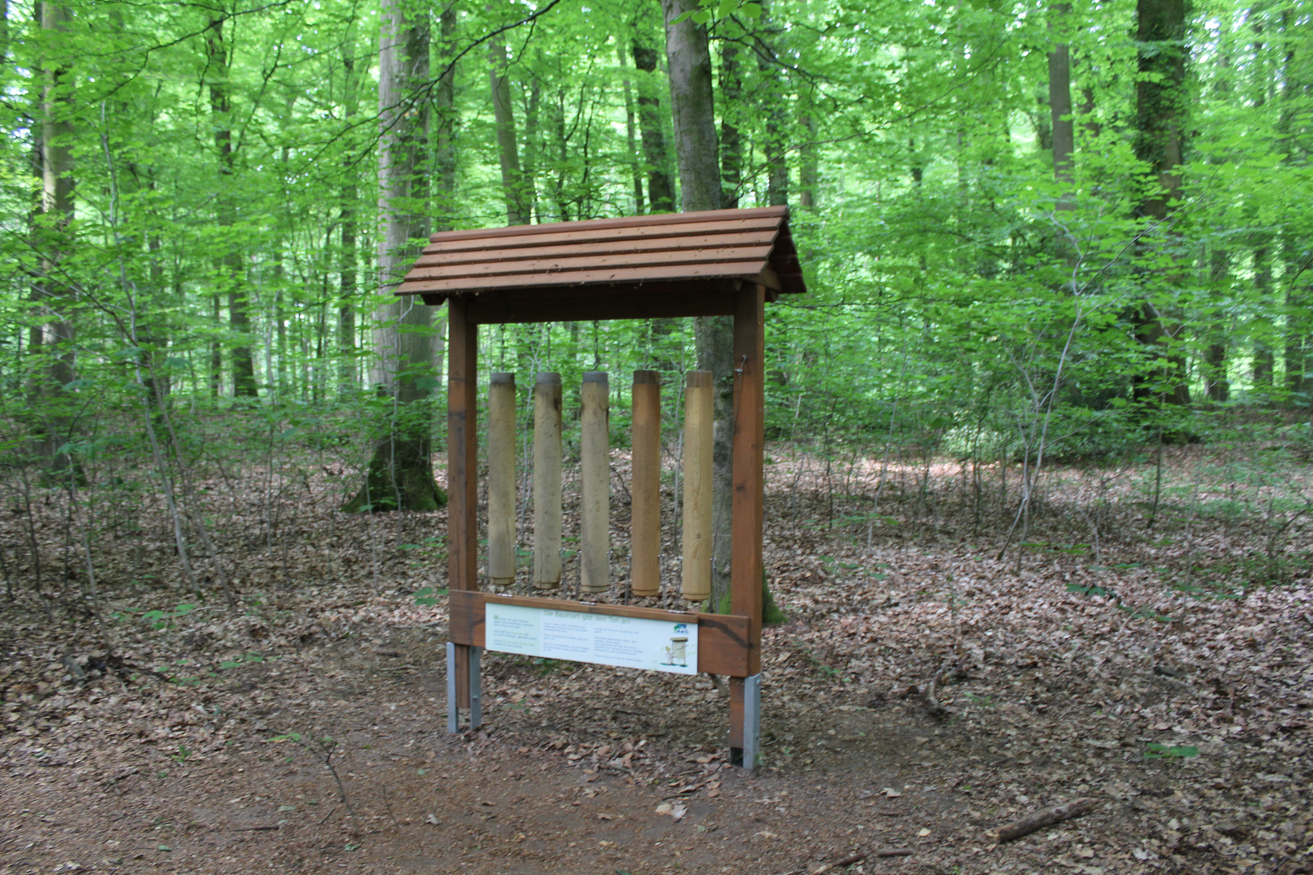 Walderlebnispfad auf dem Heiligenberg