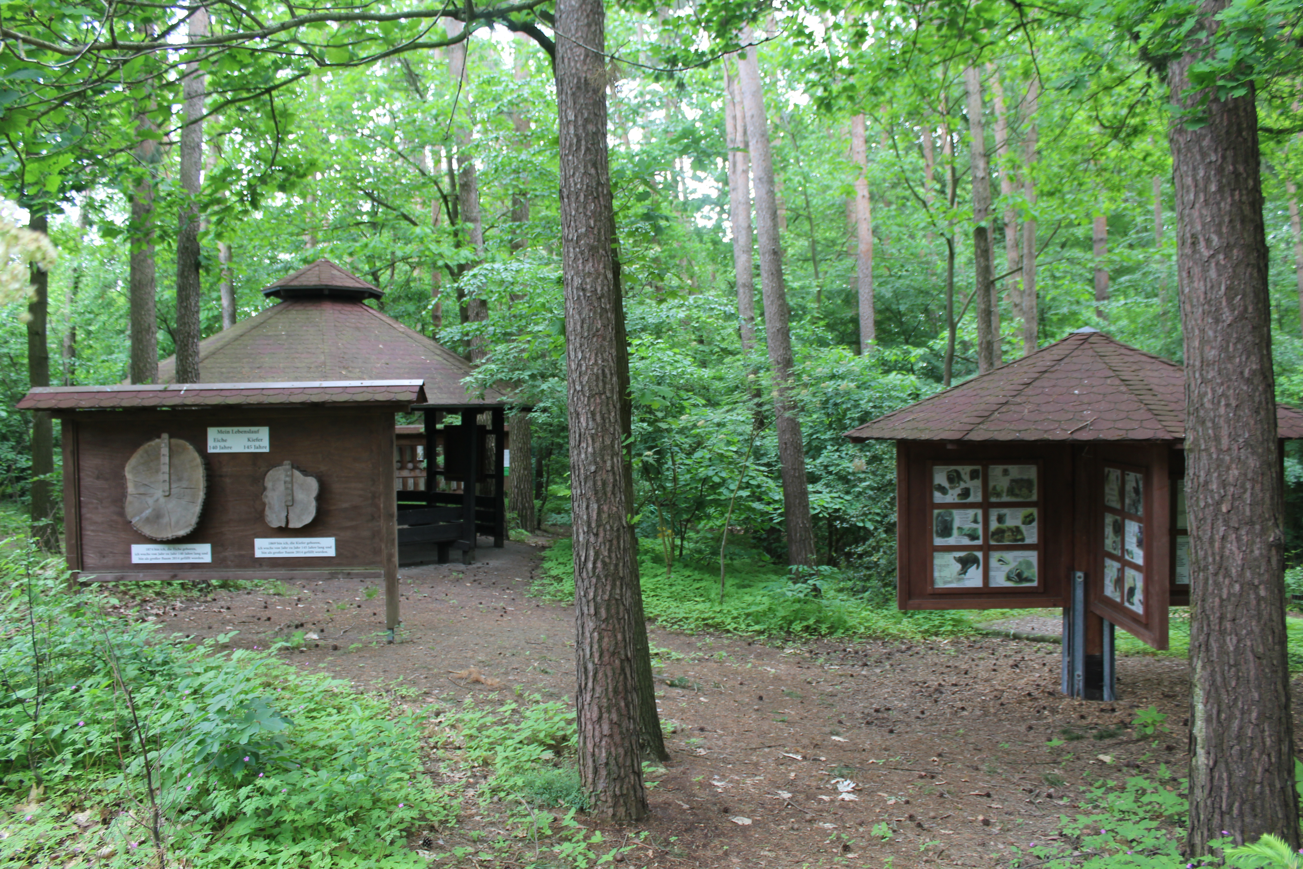 Naturlehrpfad Marklohe