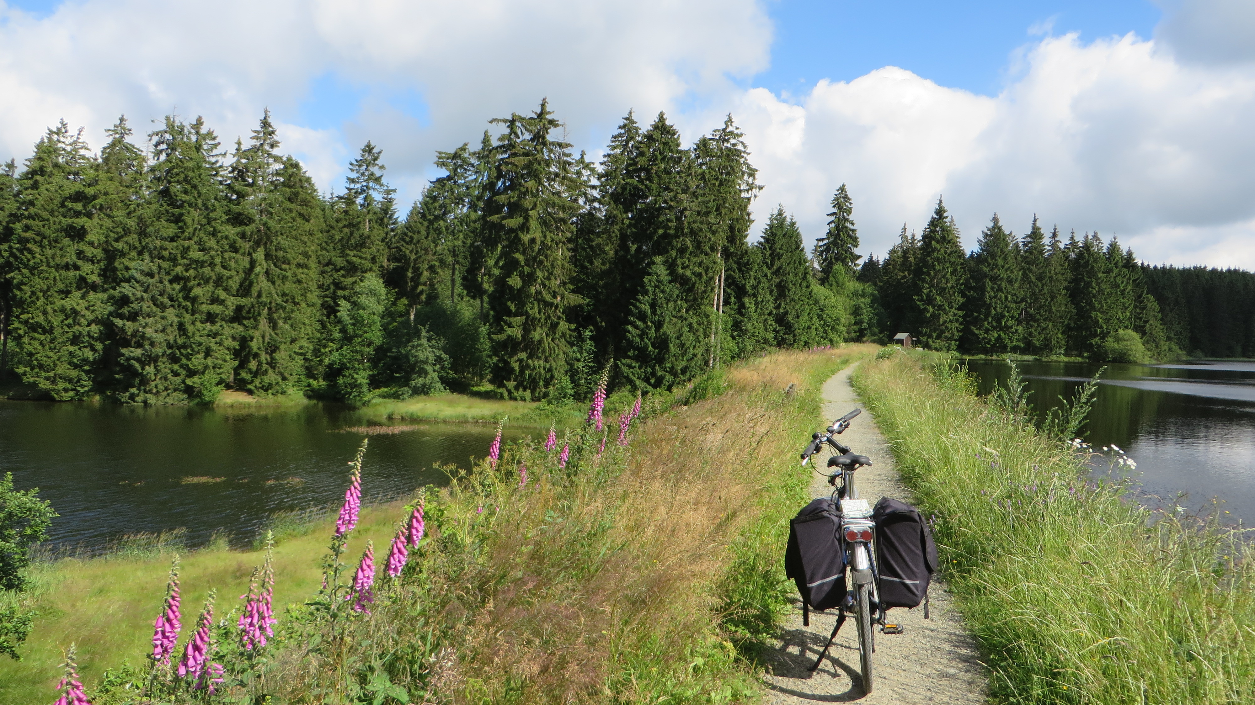 Radtour am Oberharzer Wasserregal<br>