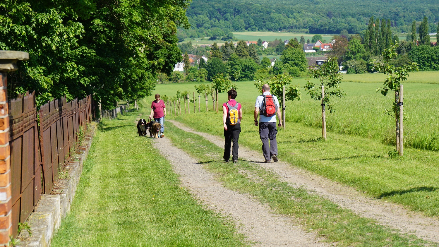 ZW03 Lucklum-Erkerode-Eilumer Horn