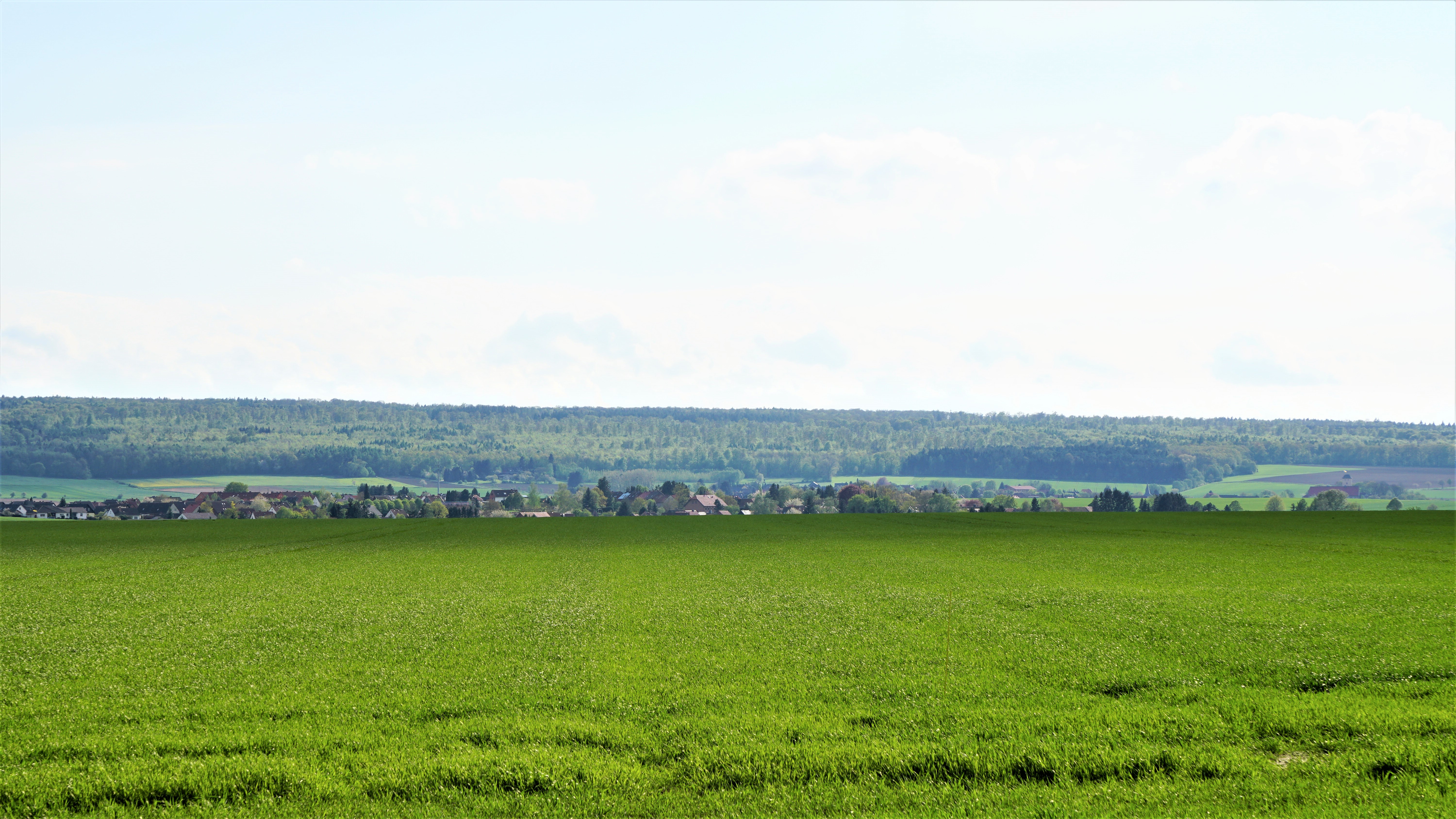 Company header banner image