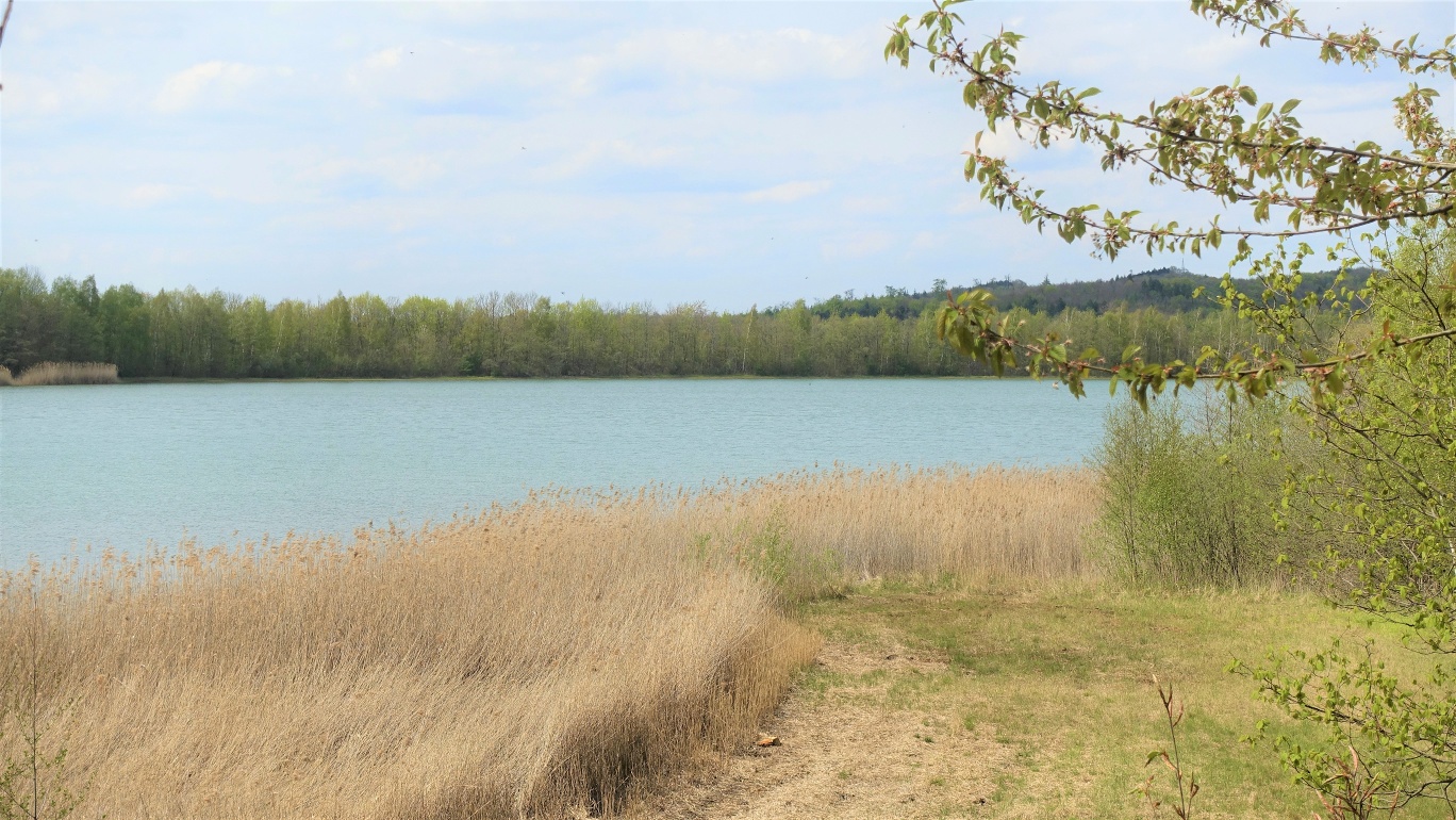Adlerhorst und Reihersee
