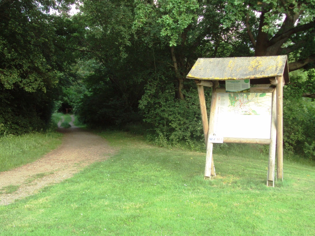 Salzgitter Wanderweg (Über die Schutzhütte zum Hasenspring)