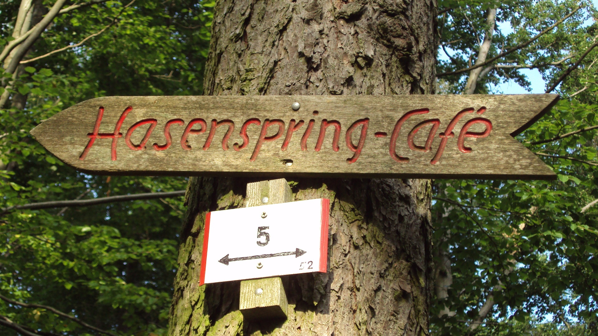 Salzgitter Wanderweg (SZ-Bad bis Liebenburg mit Golfplatz)