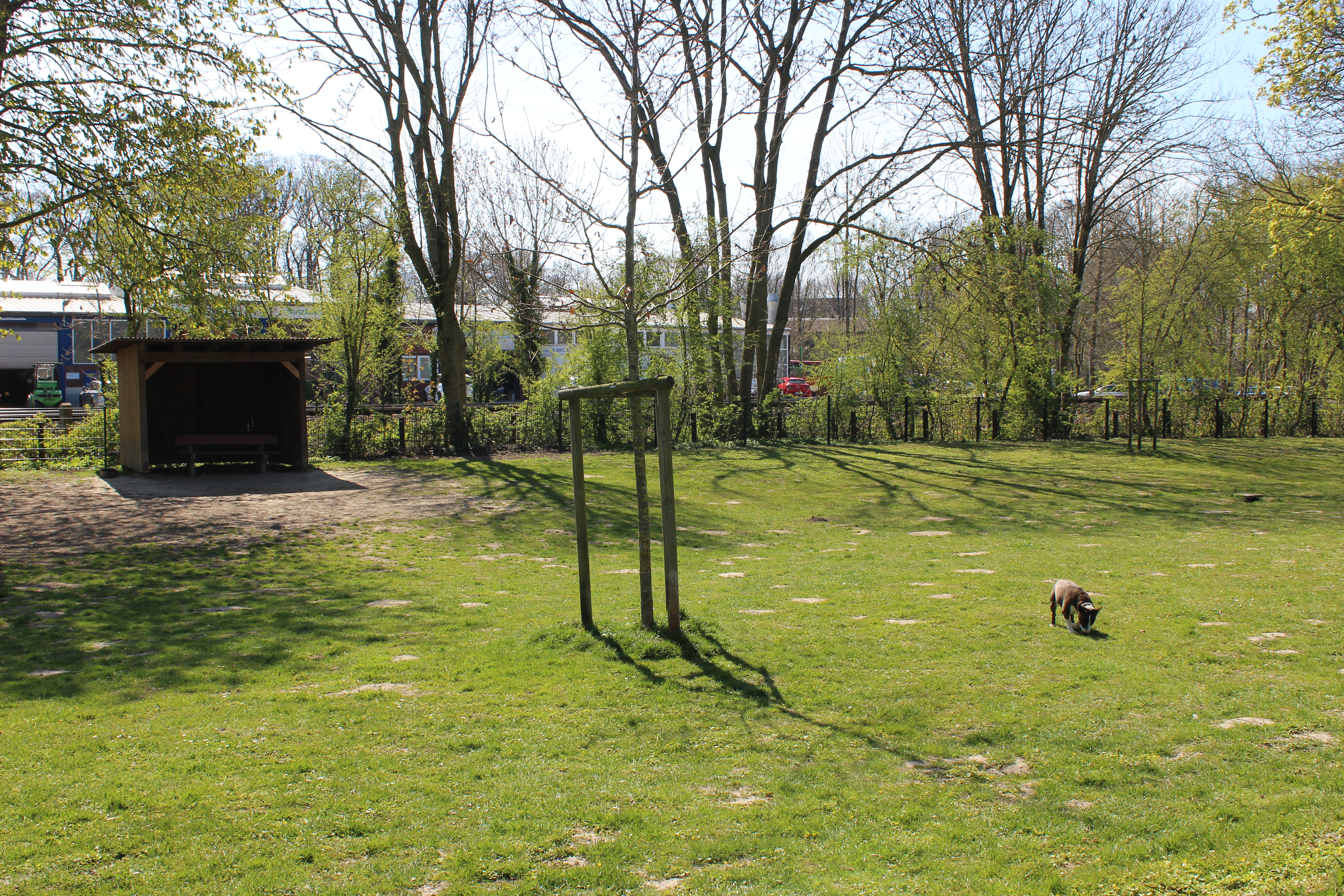 Hundewiese Stadtpark Otterndorf