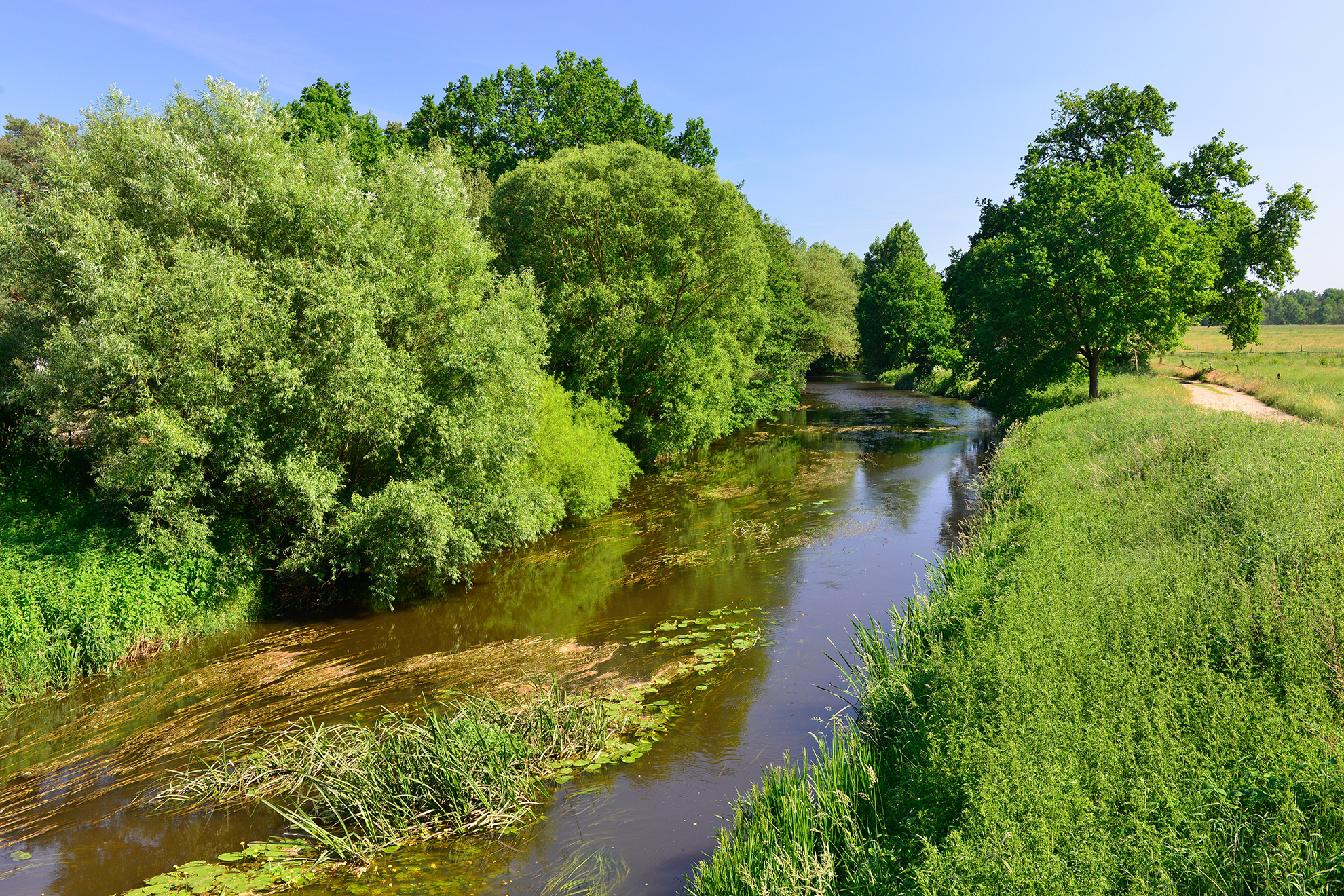 Naturschätze