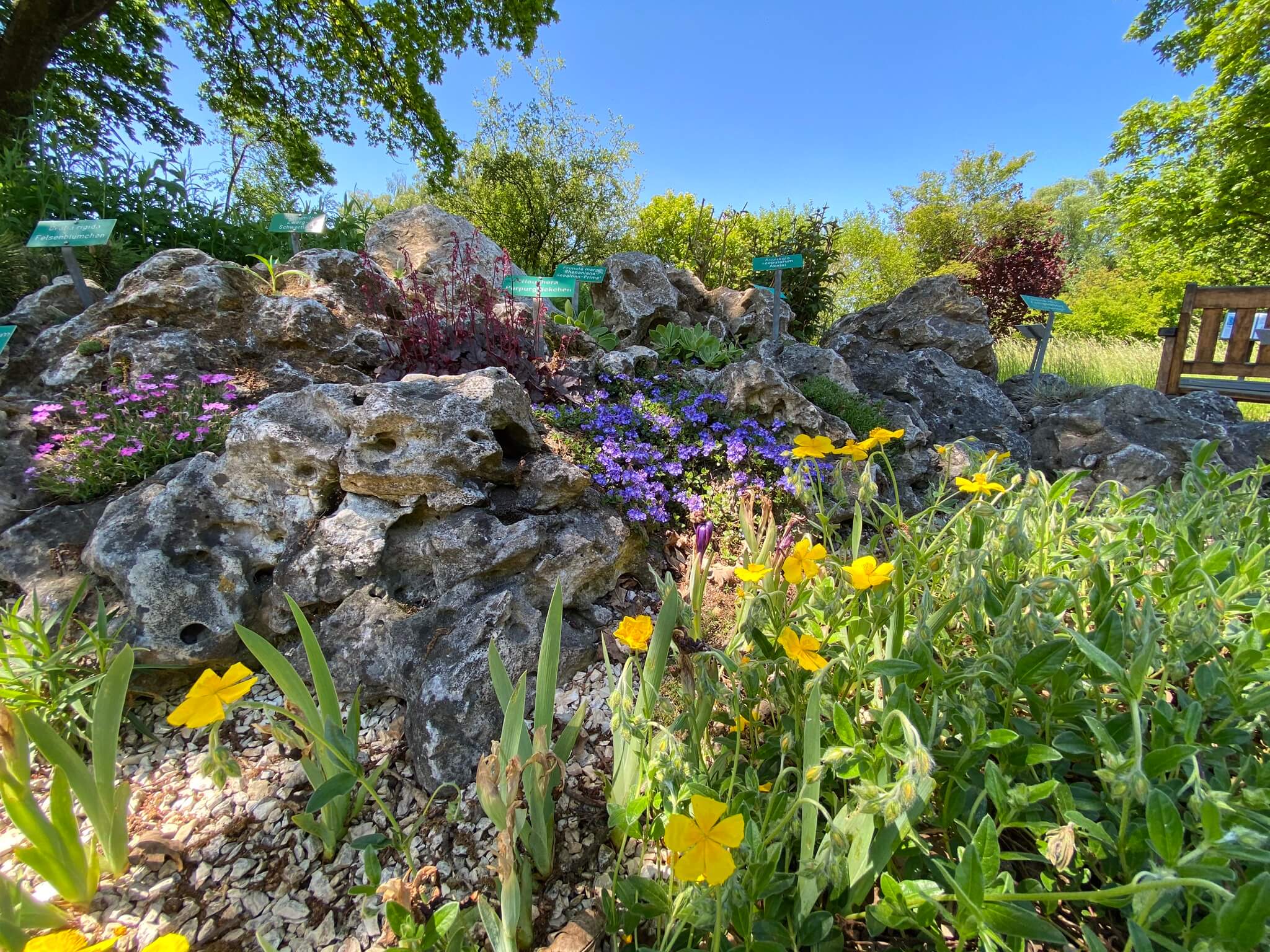 Kreismustergarten Weißenhorn