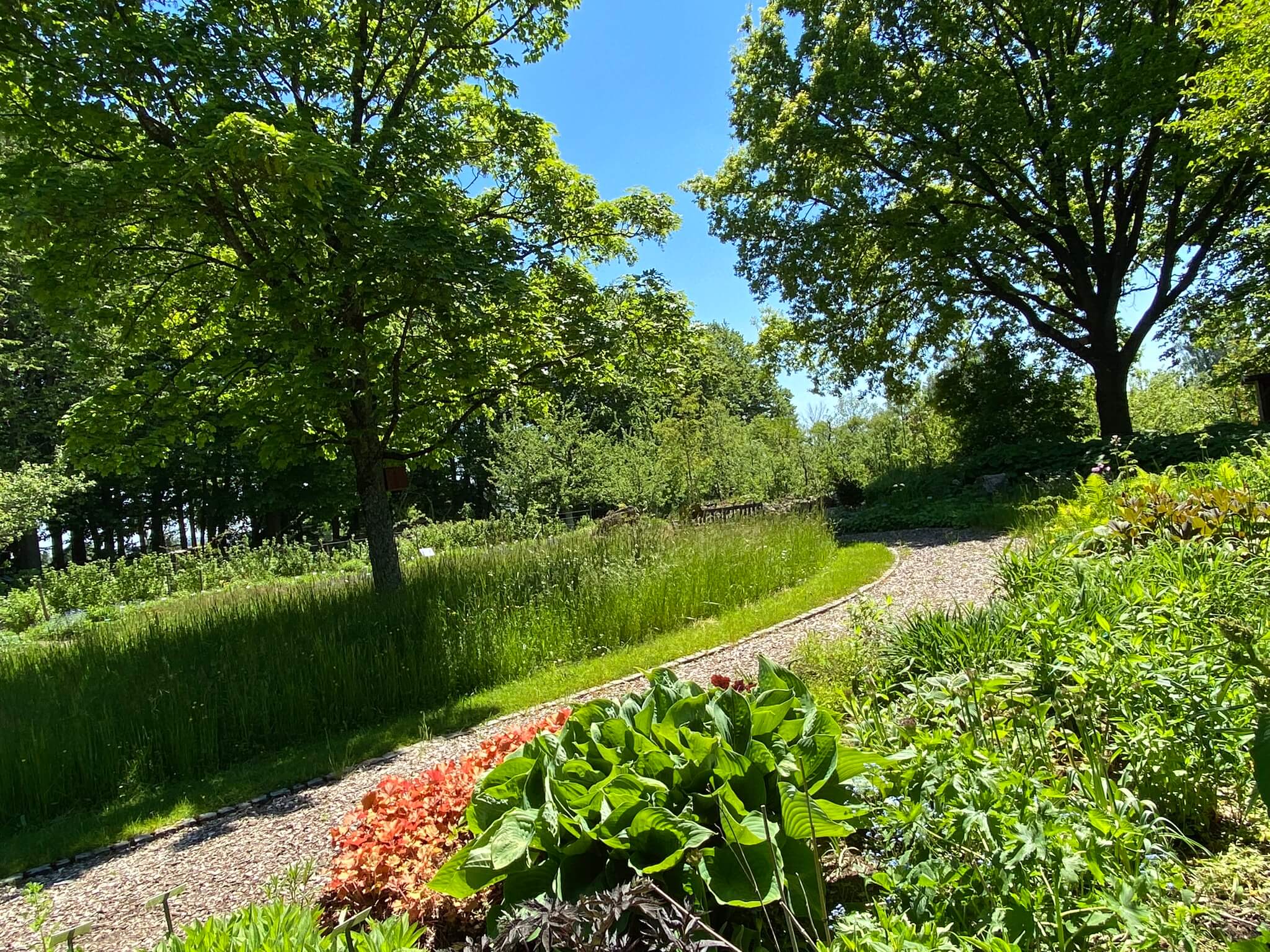 Kreismustergarten Weißenhorn