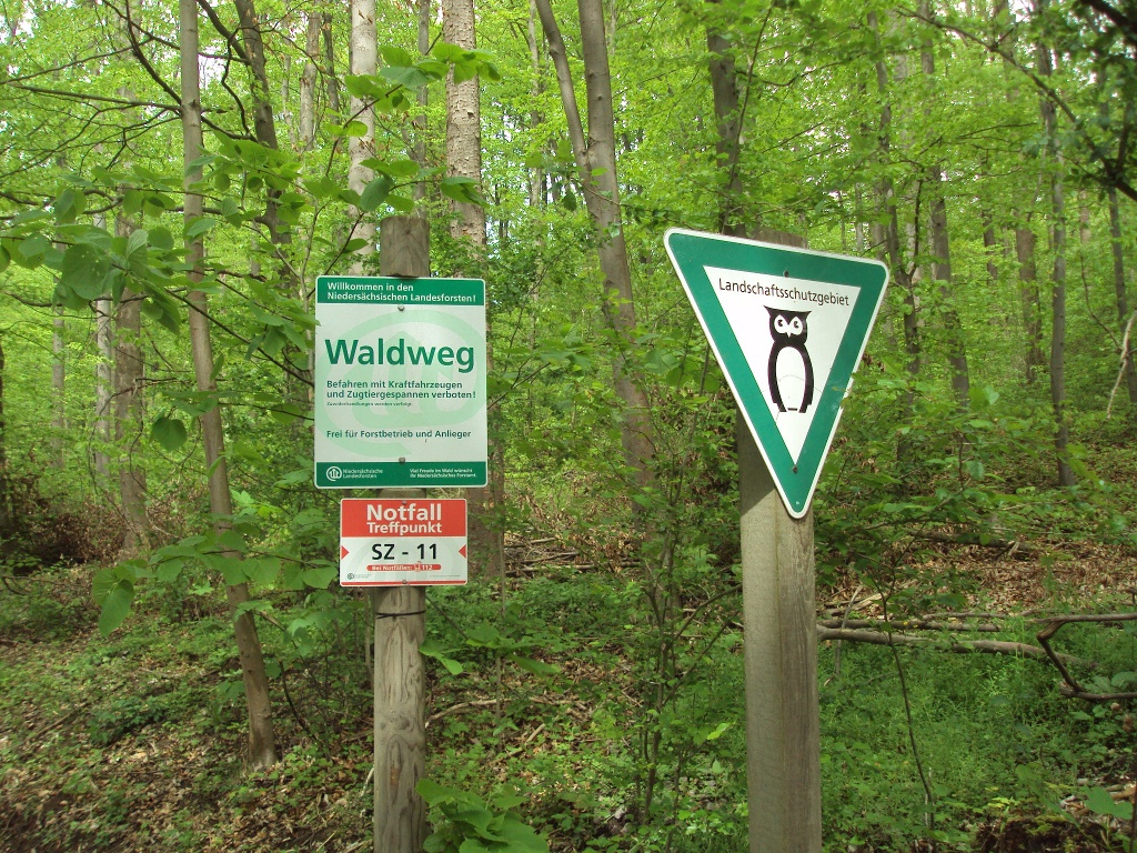 Salzgitter Wanderweg Nr. 11 (Heinemannshöhe und Finkenkuhle)