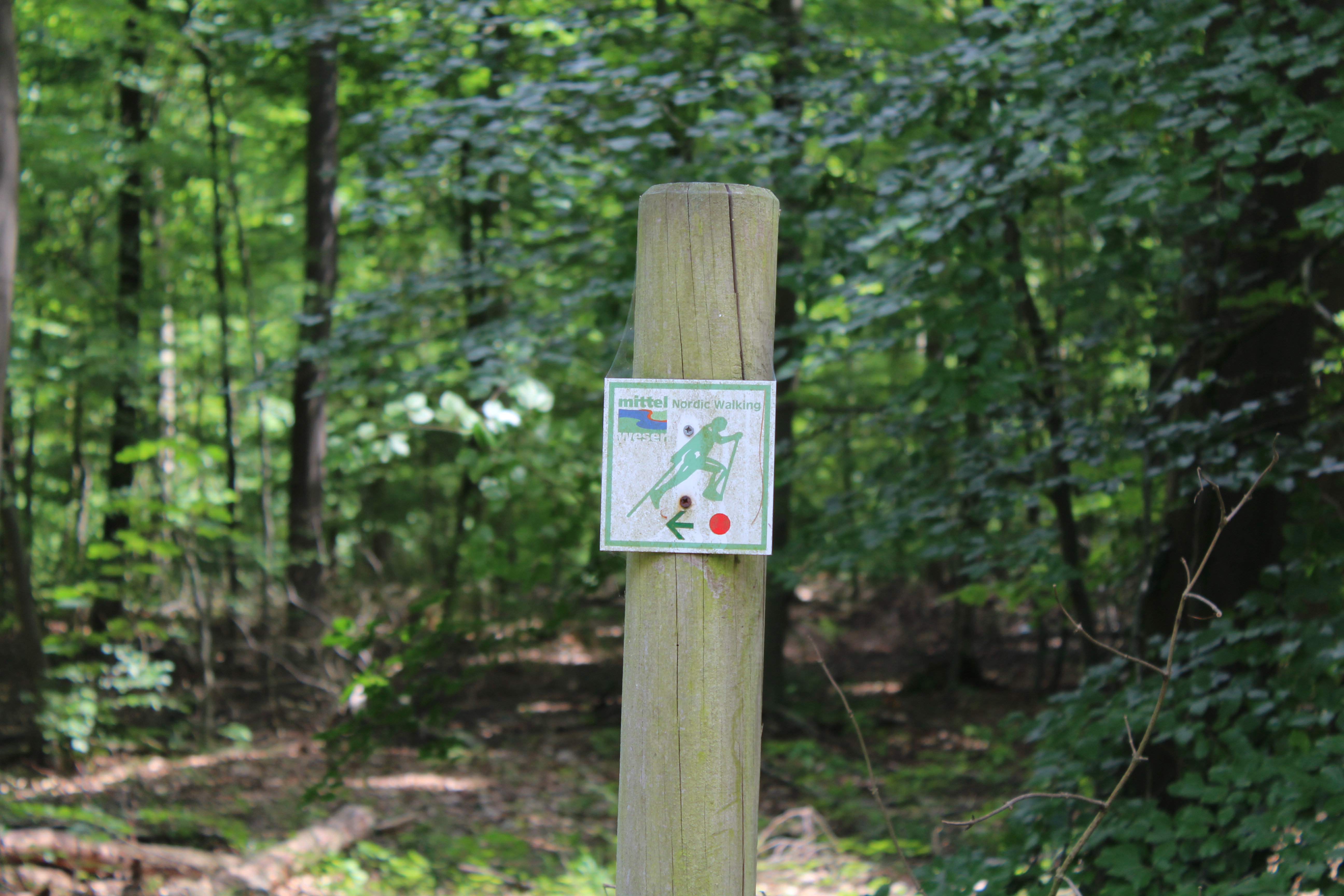 Sellingsloh-Rote Strecke