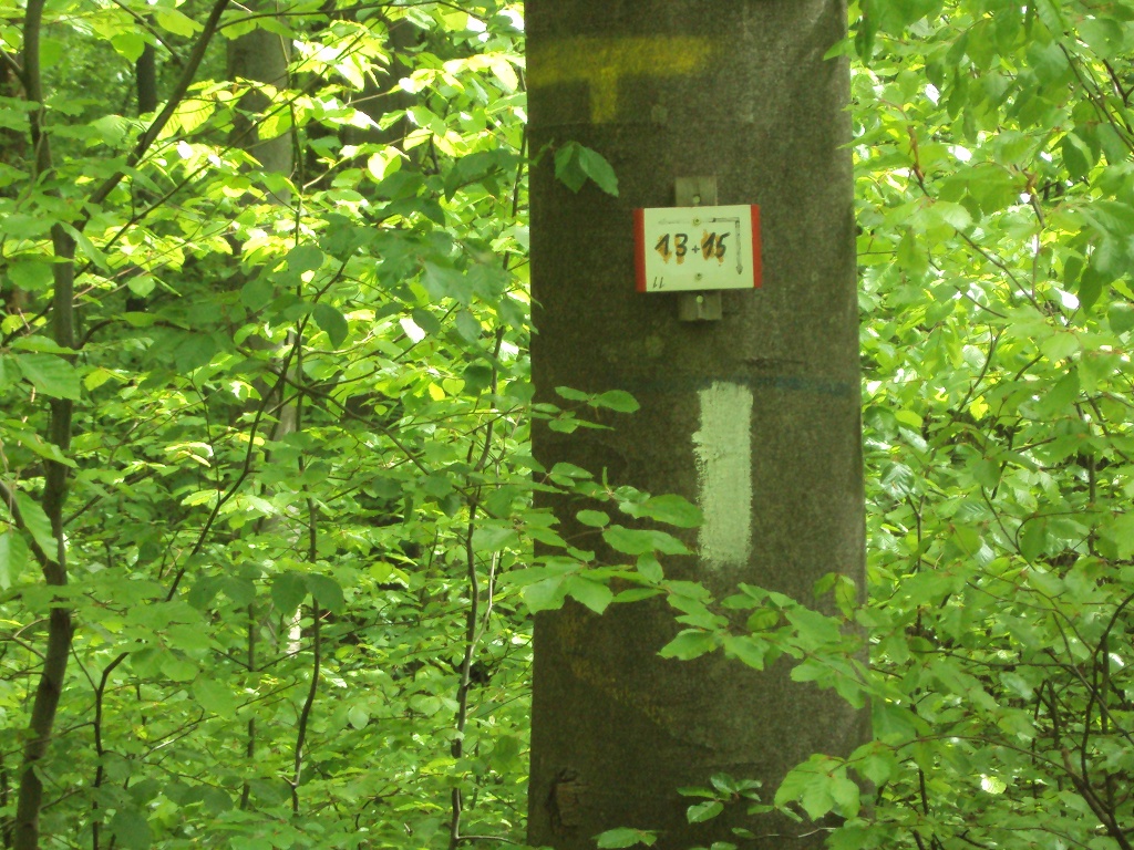 Salzgitter Wanderweg Nr. 15 (mit ILE-Stempelstelle am Reihersee)