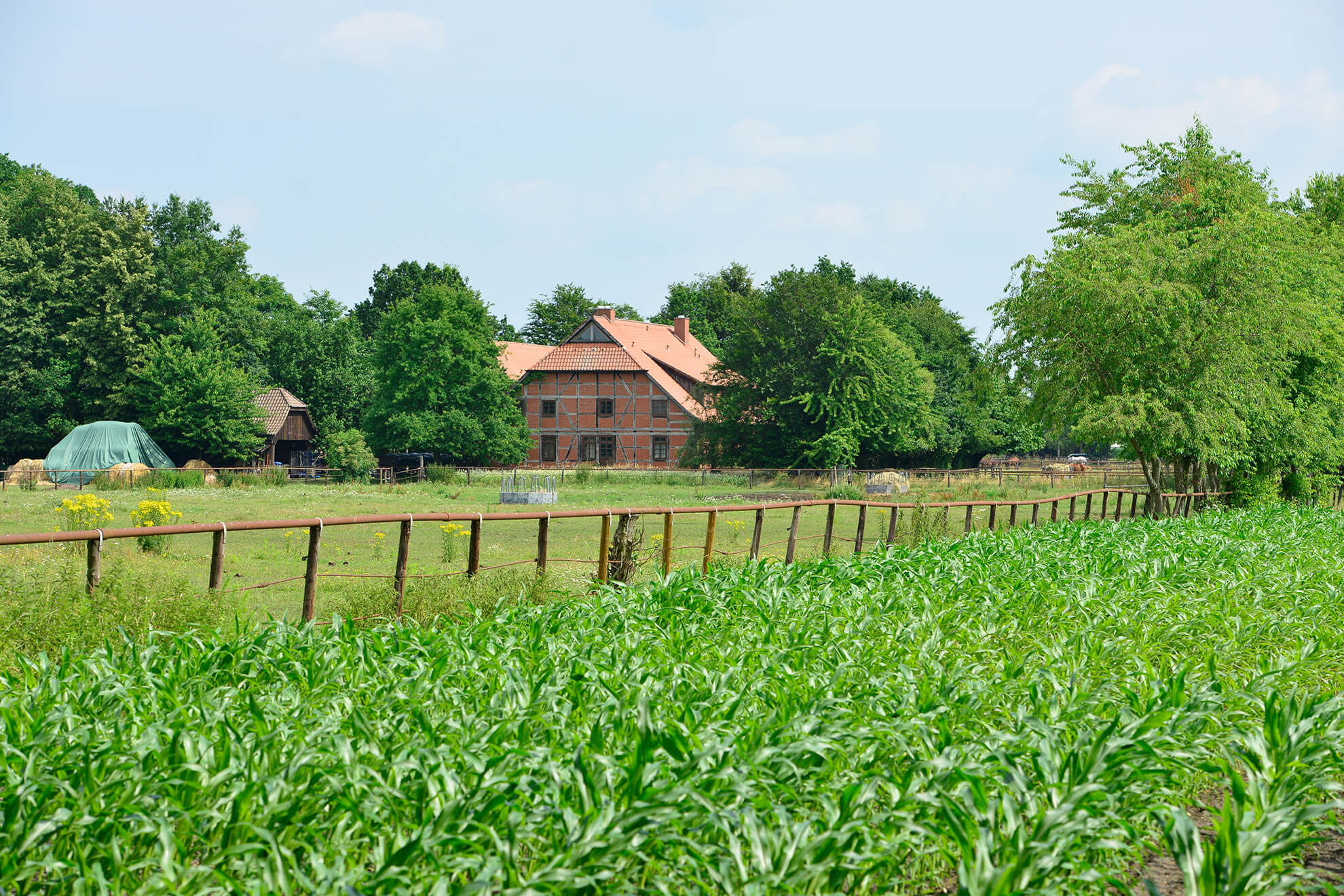 Naturtour Wesendorf