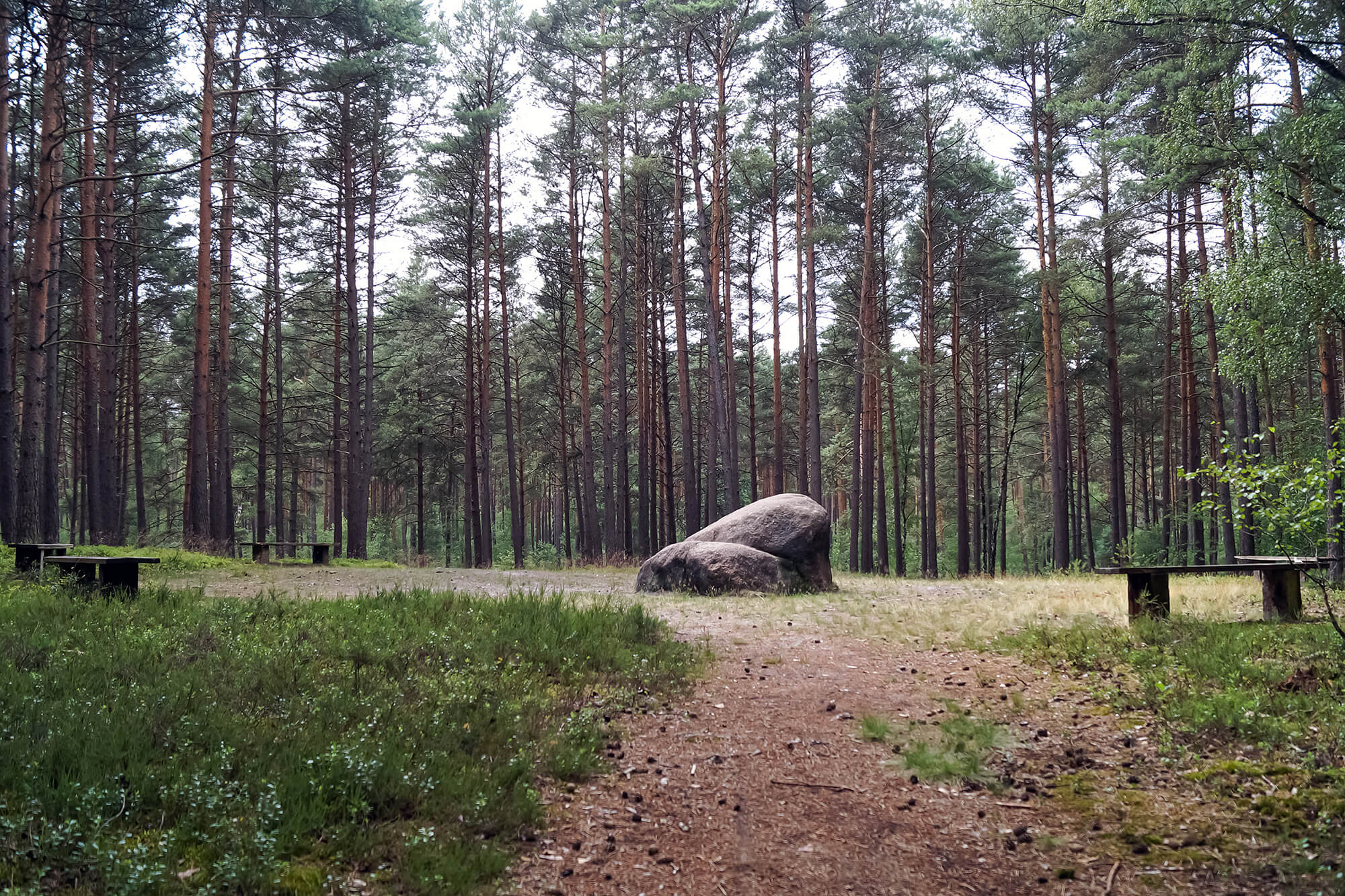 Bickelsteiner Heide