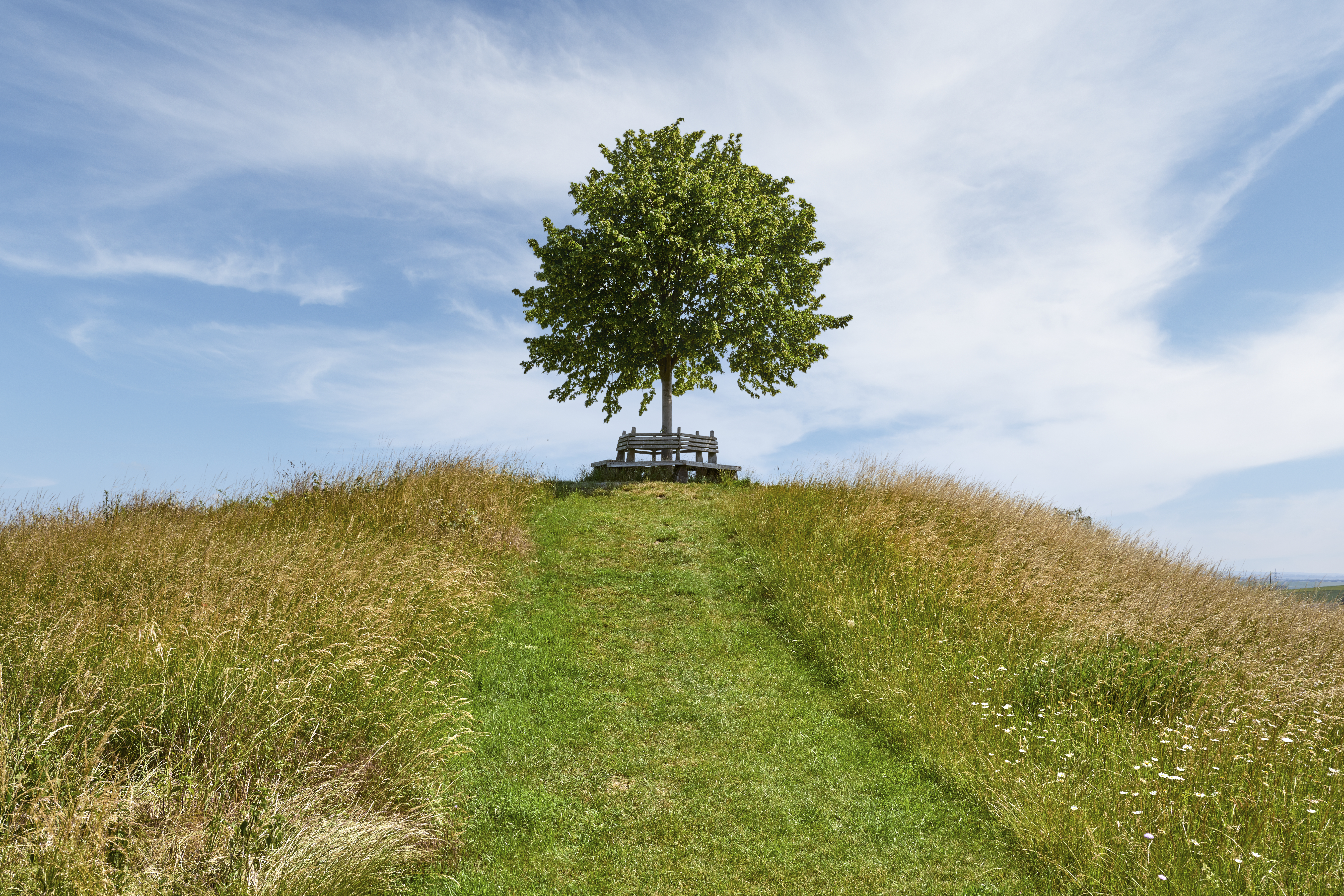 Tumulus auf dem Meescheberg in Klein Vahlberg