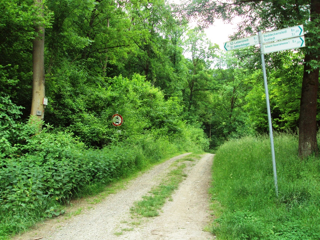Salzgitter Wanderweg (ehemalige Bartelszeche u. Reihersee)