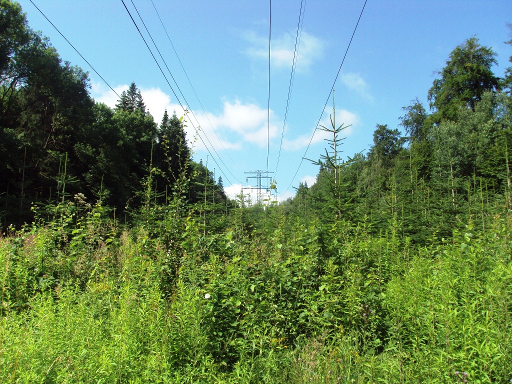 Salzgitter Wanderweg Nr. 23 (Höhenzug Salzgitter ab Salder)