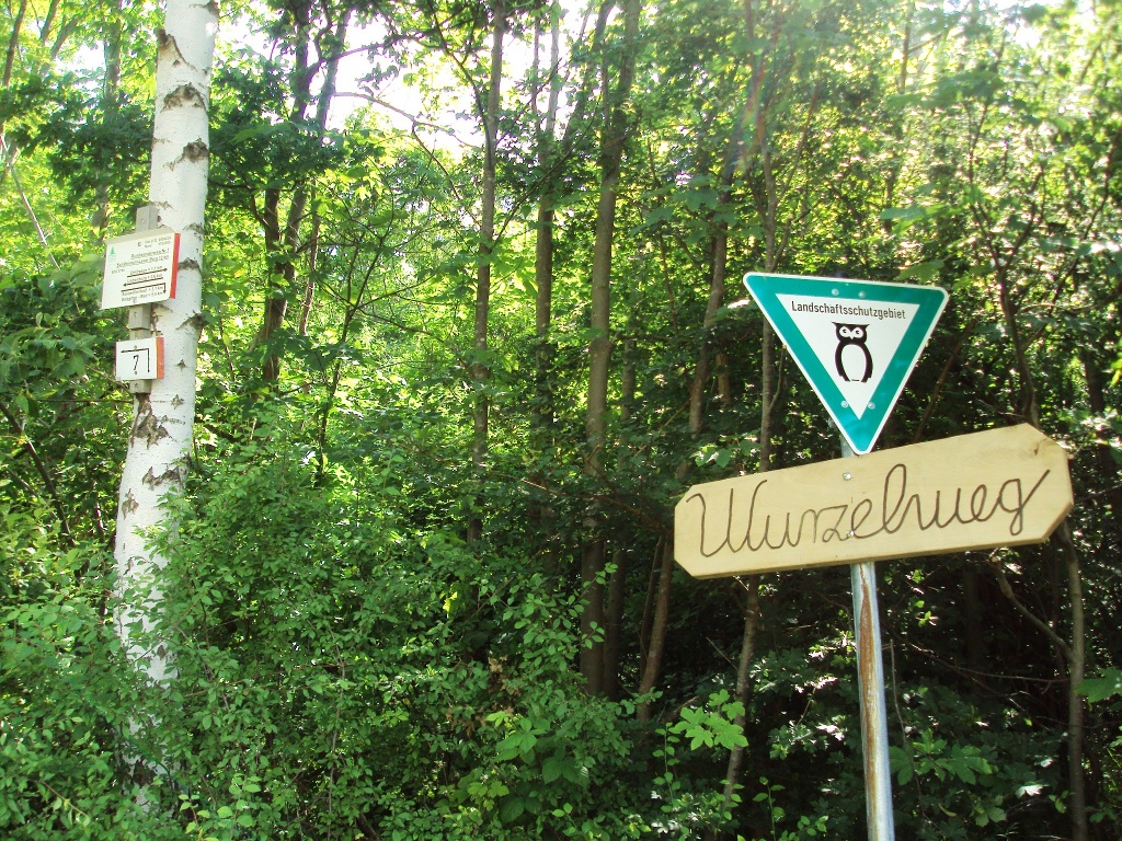 Salzgitter Wanderweg (große Runde von SZ-Bad nach Liebenburg)