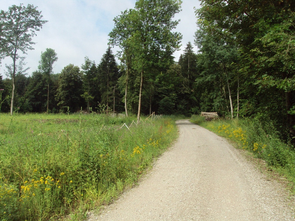 Salzgitter Wanderweg (Von Gebhardshagen über den Herzberg)