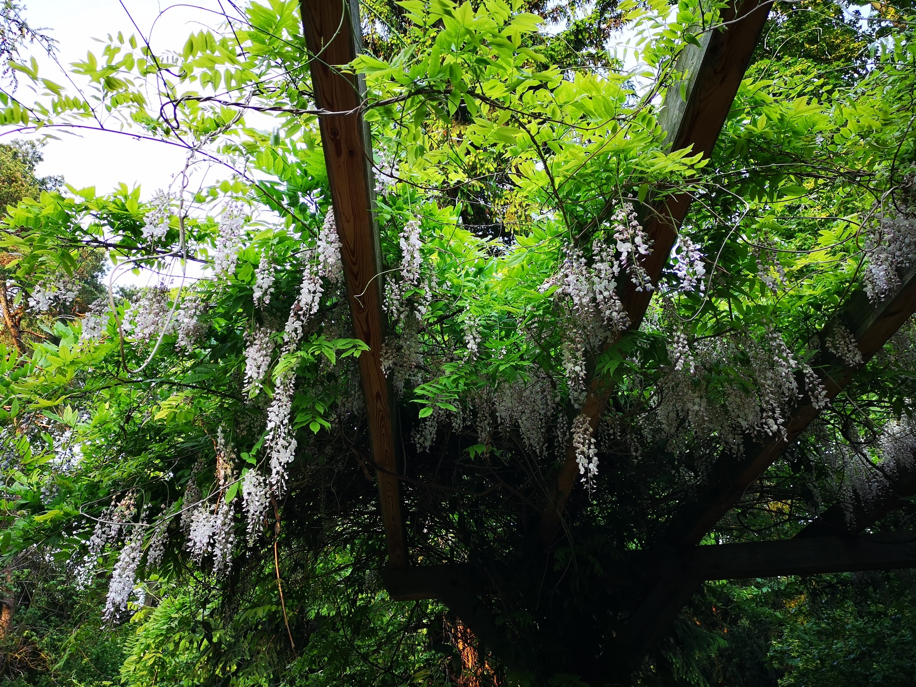 Botanischer Garten