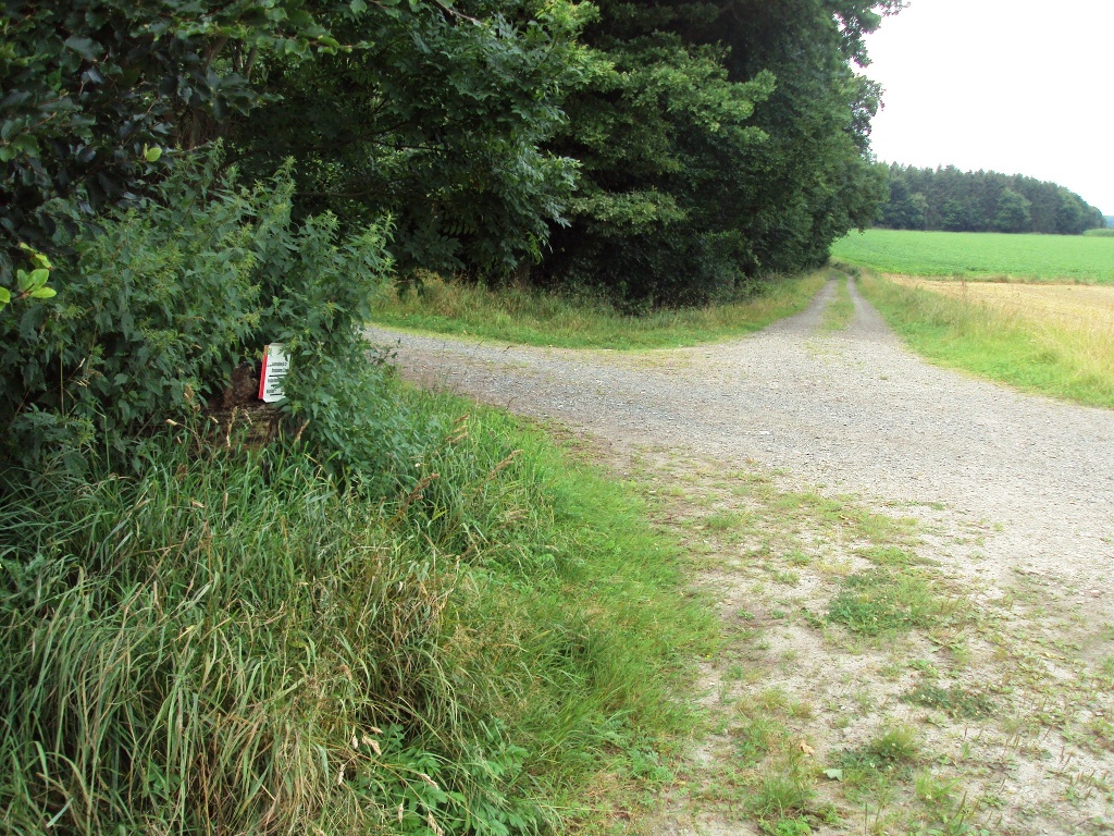 Salzgitter Wanderweg Nr. 29 (Waldweg südlich von Osterlinde)