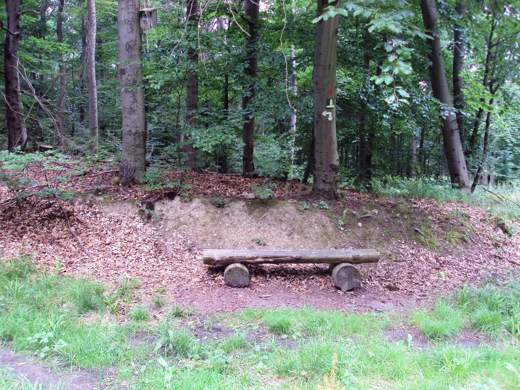 Salzgitter Wanderweg Nr. 30 (Westlicher Höhenzug über Hohe Warte)