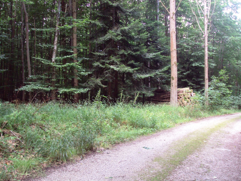Salzgitter Wanderweg Nr. 28 (Von Osterlinde um den Lindenberg)