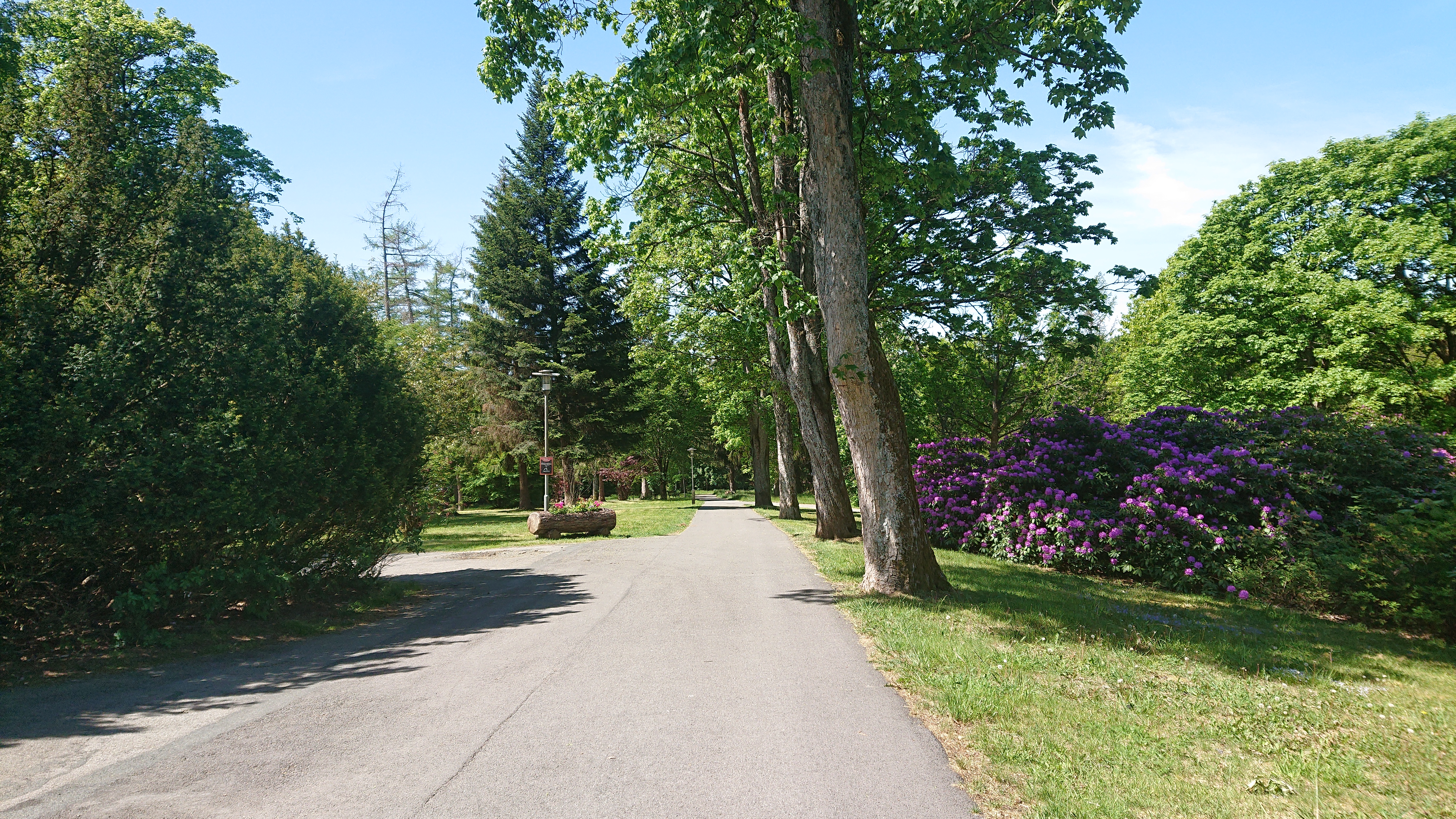 sankt-andreasberg-kupark(c)katie-humphrys.JPG