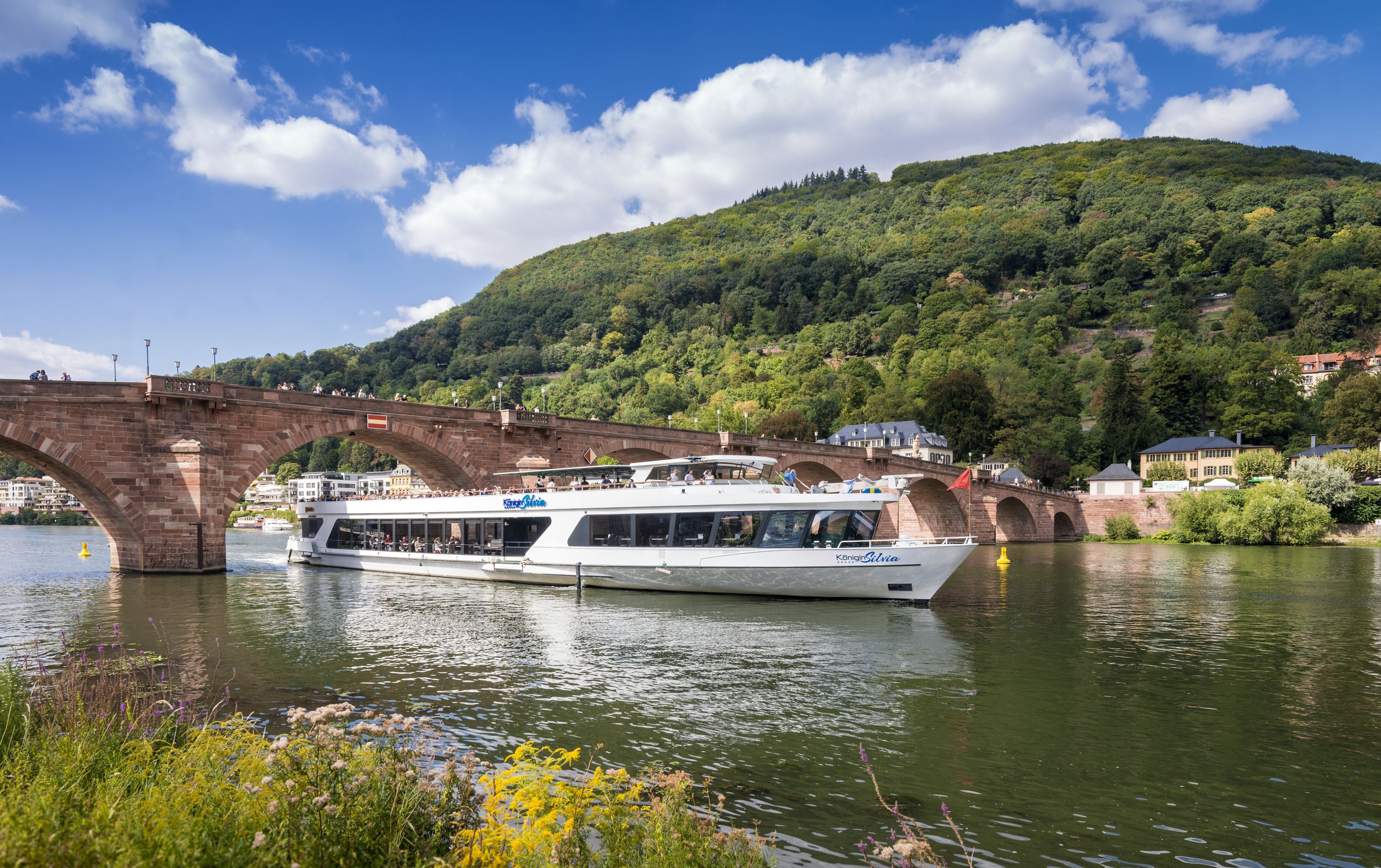 Boat Trip Heidelberg Photos Vestigeseekers boat-trip-heidelberg-photos-vestigeseekers