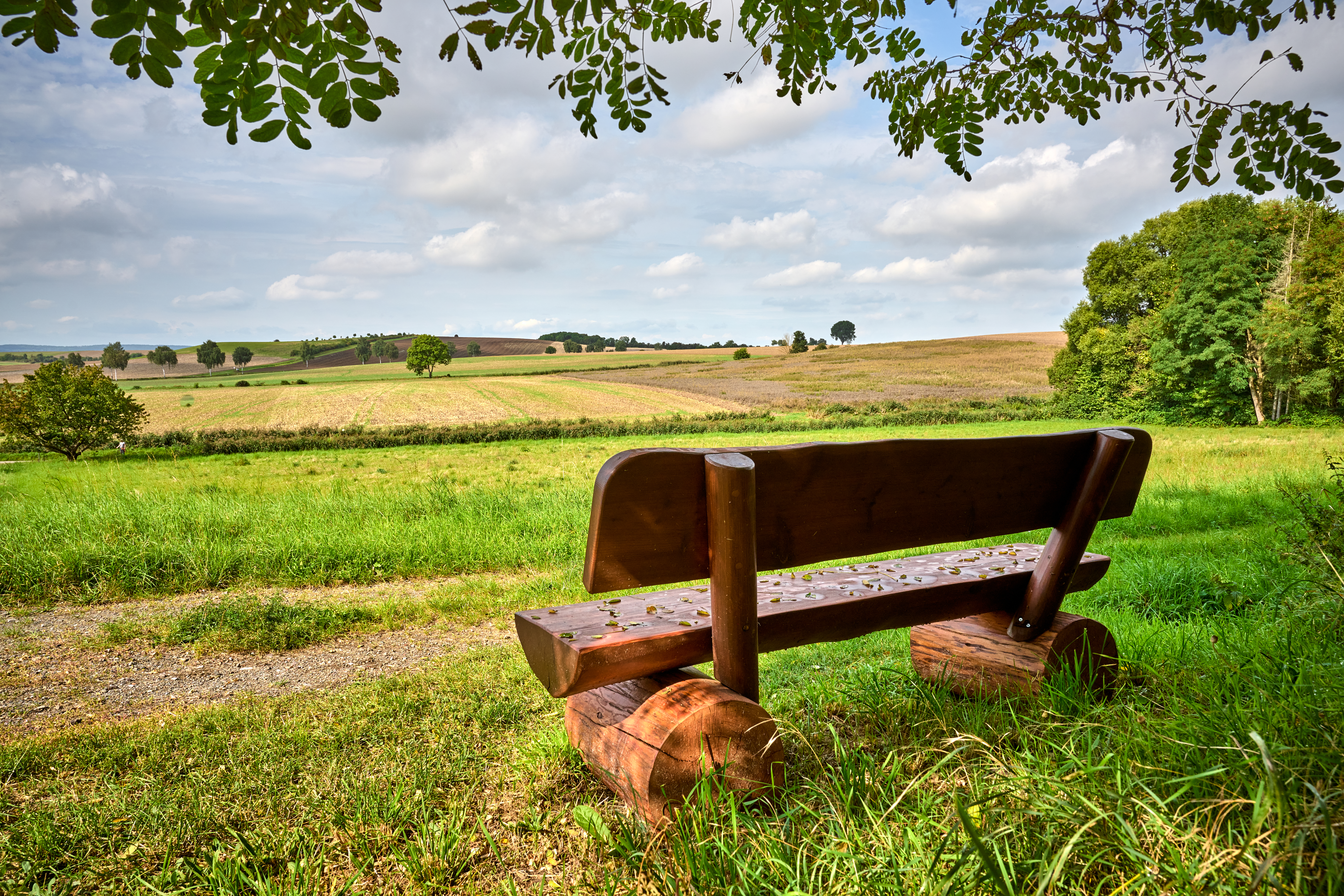Ruhebank mit Aussicht in Eitzum