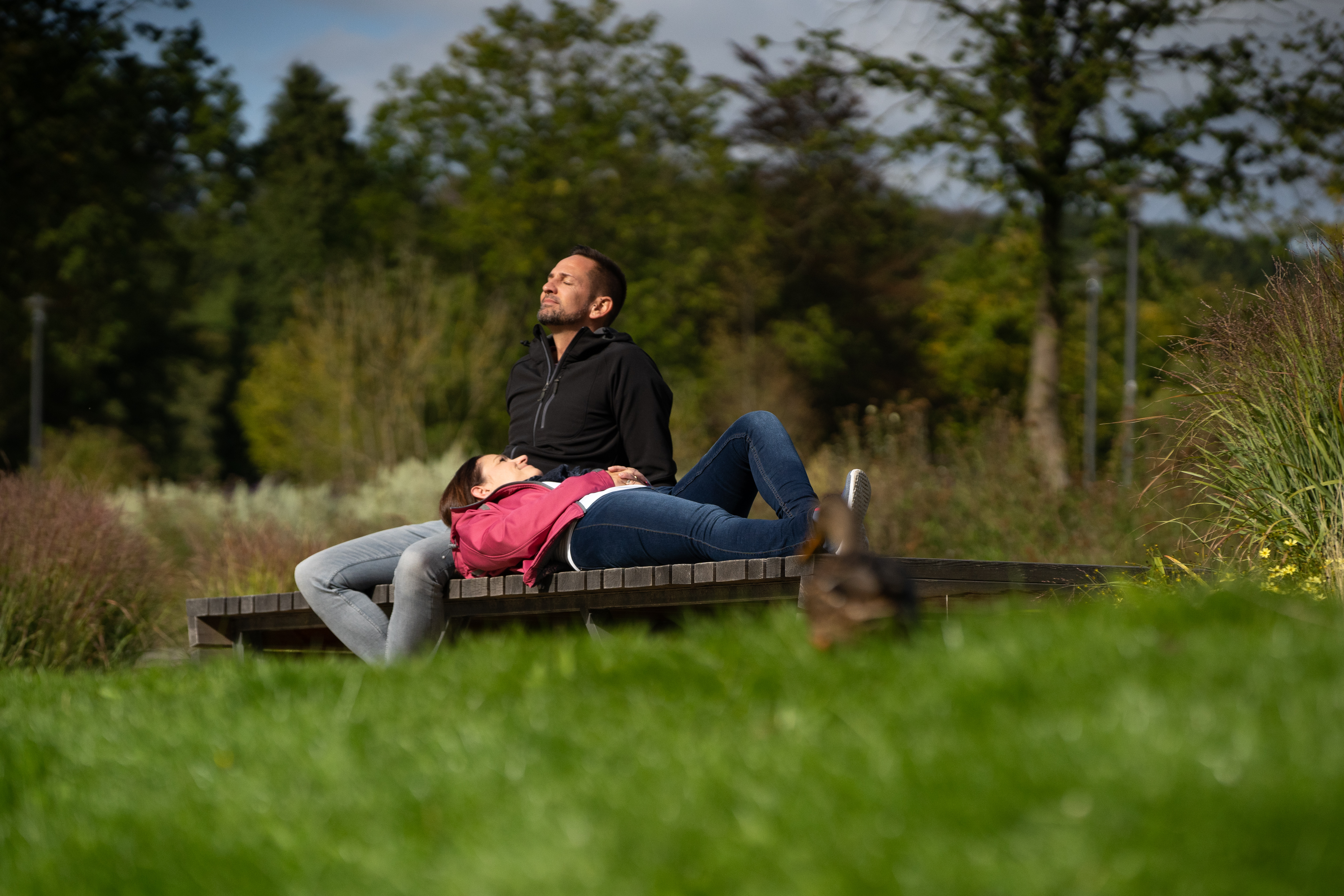 Waldkurpark Bad Iburg