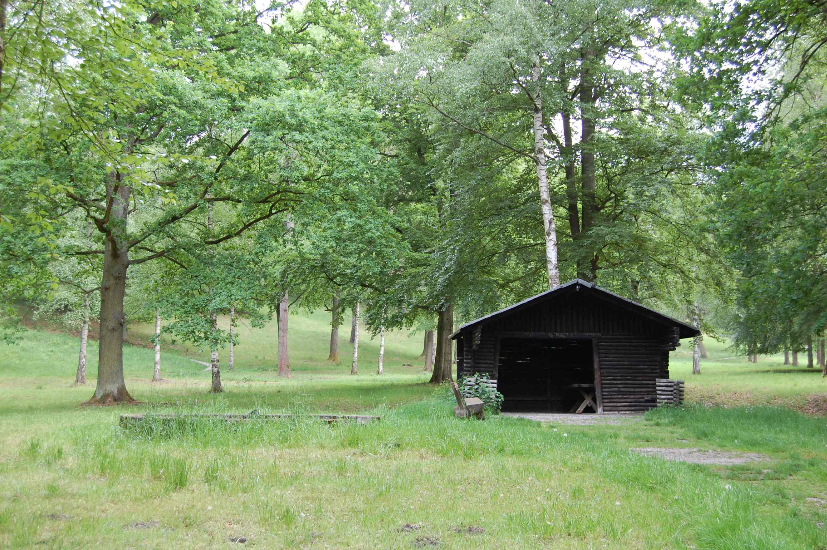 Steinway Park in Seesen