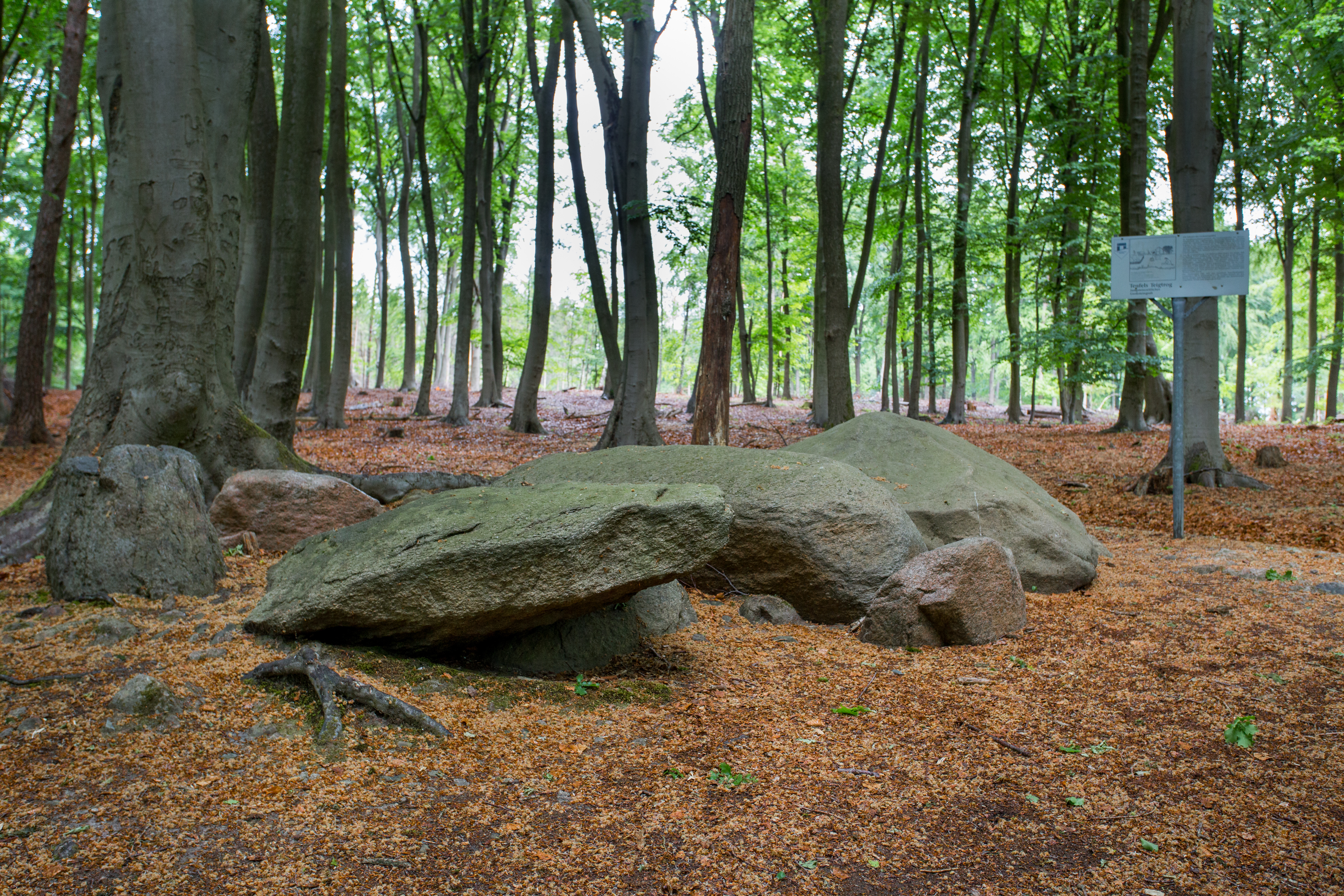 TERRA.track Teufelssteine