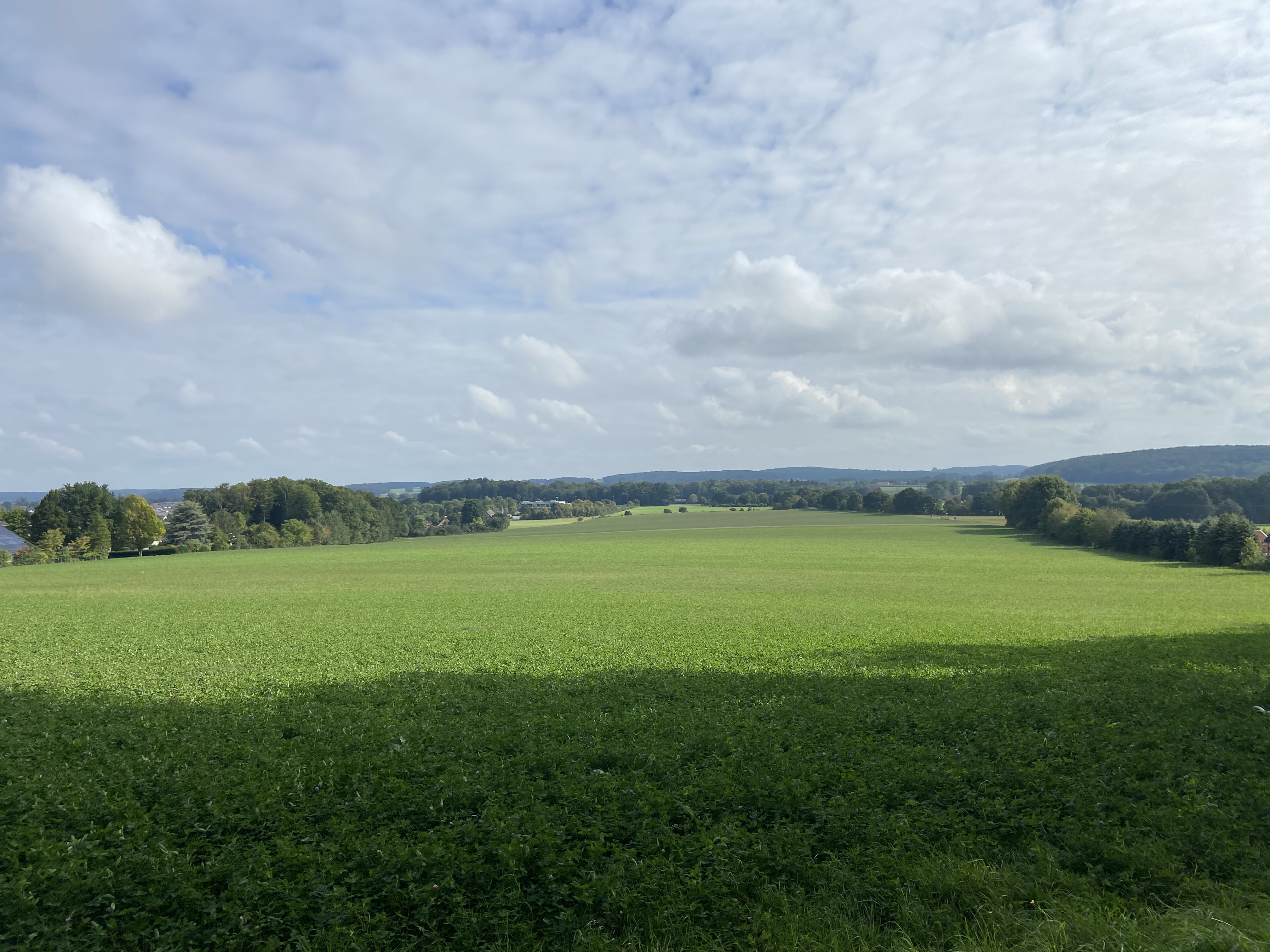 TERRA.track Richtstättenweg