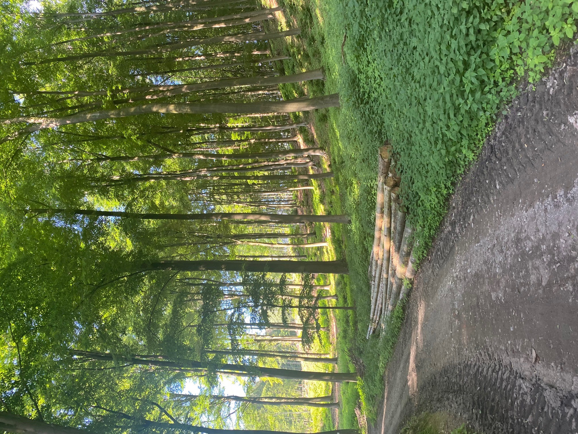 TERRA.track Wildstein
