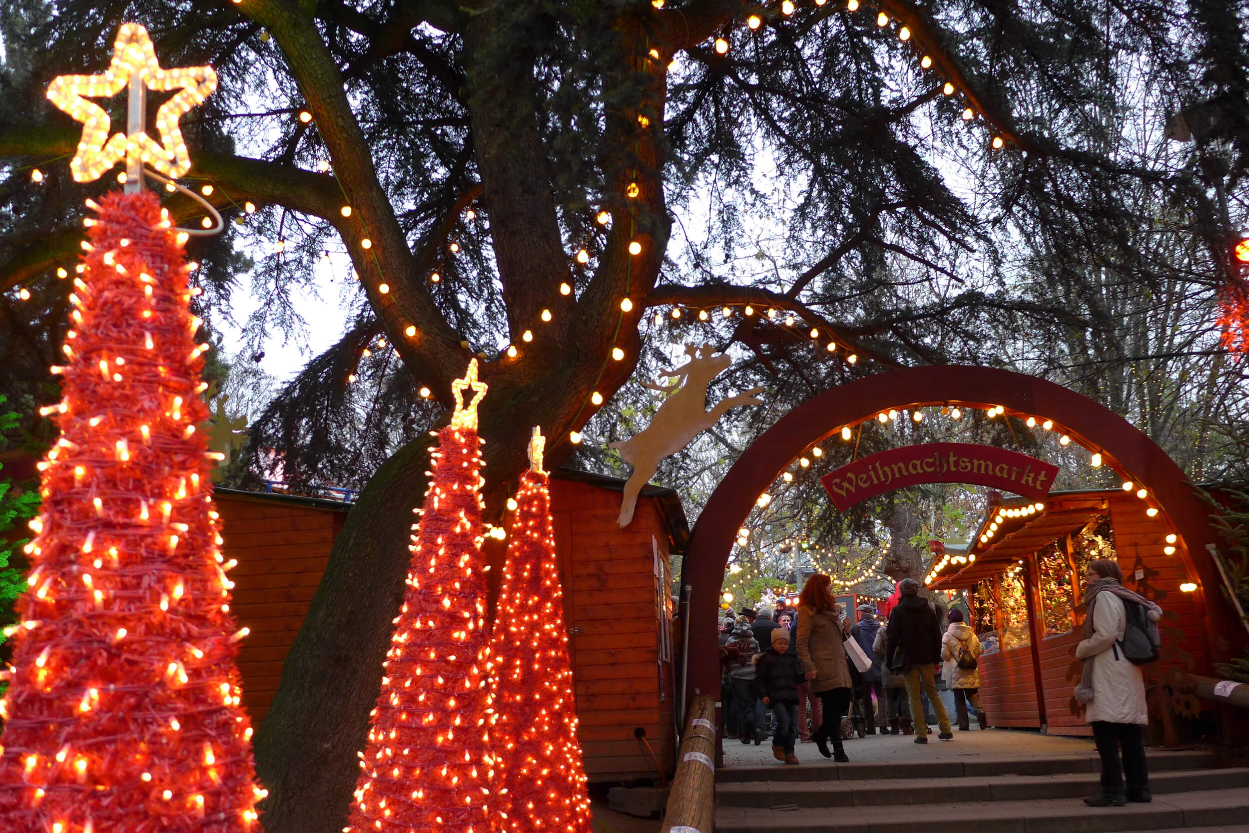 Stadtgarten Christmas market in Cologne| Cologne Tourist Board