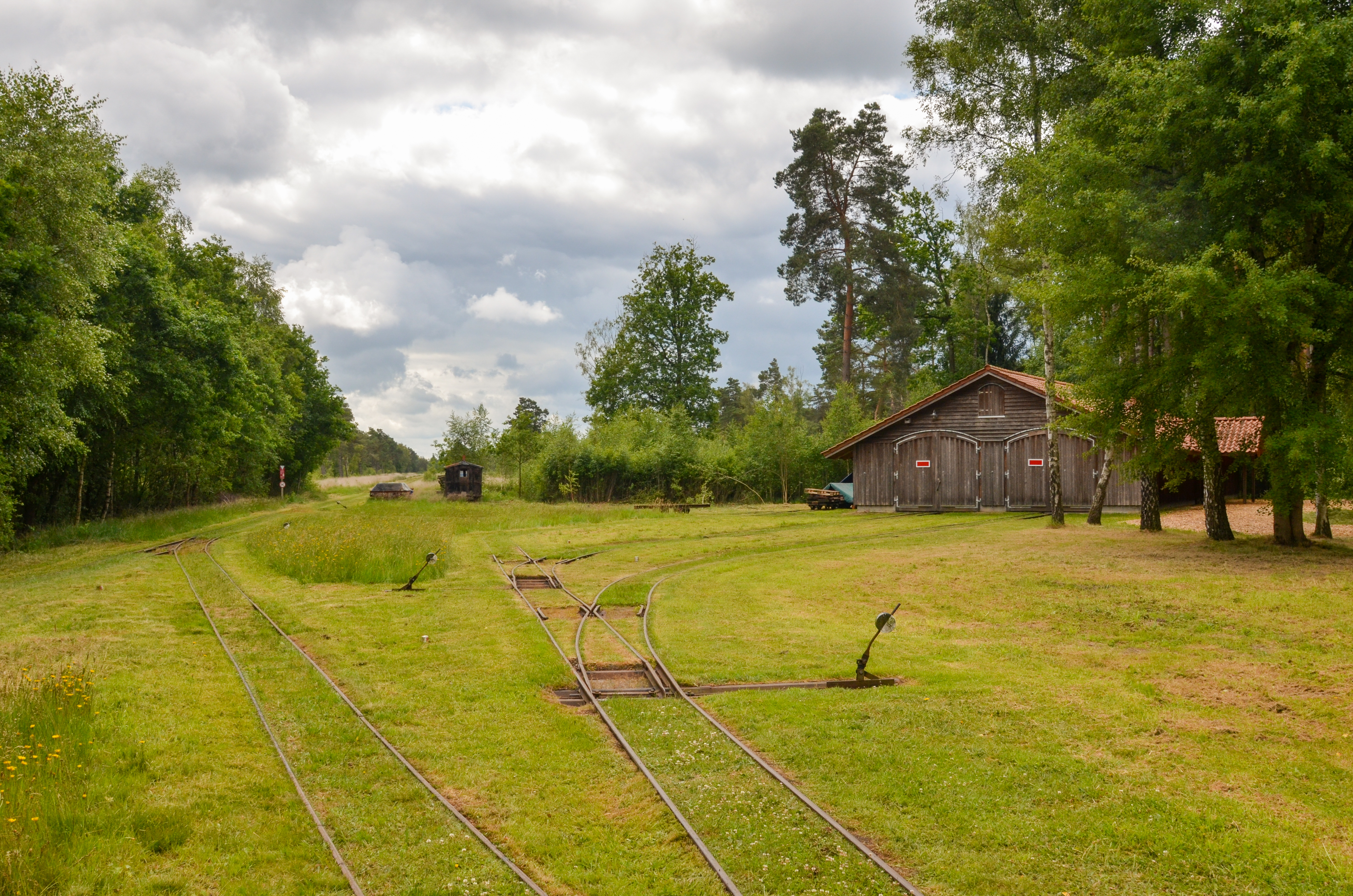 Moorbahn im Tister Bauernmoor bei Sittensen.jpg