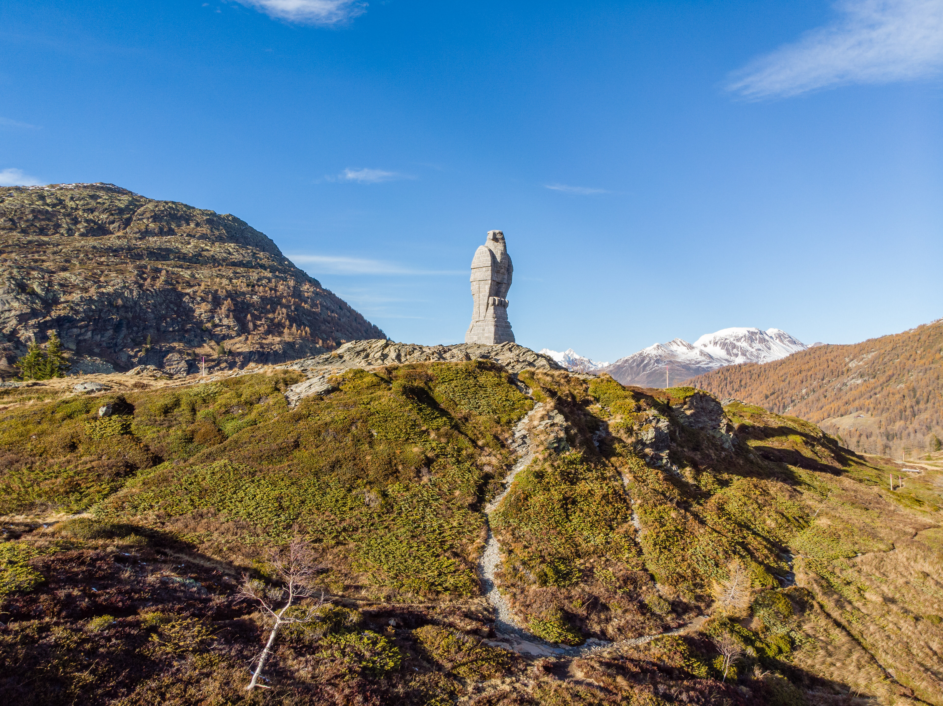steinadler-auf-dem-simplonpass.jpg