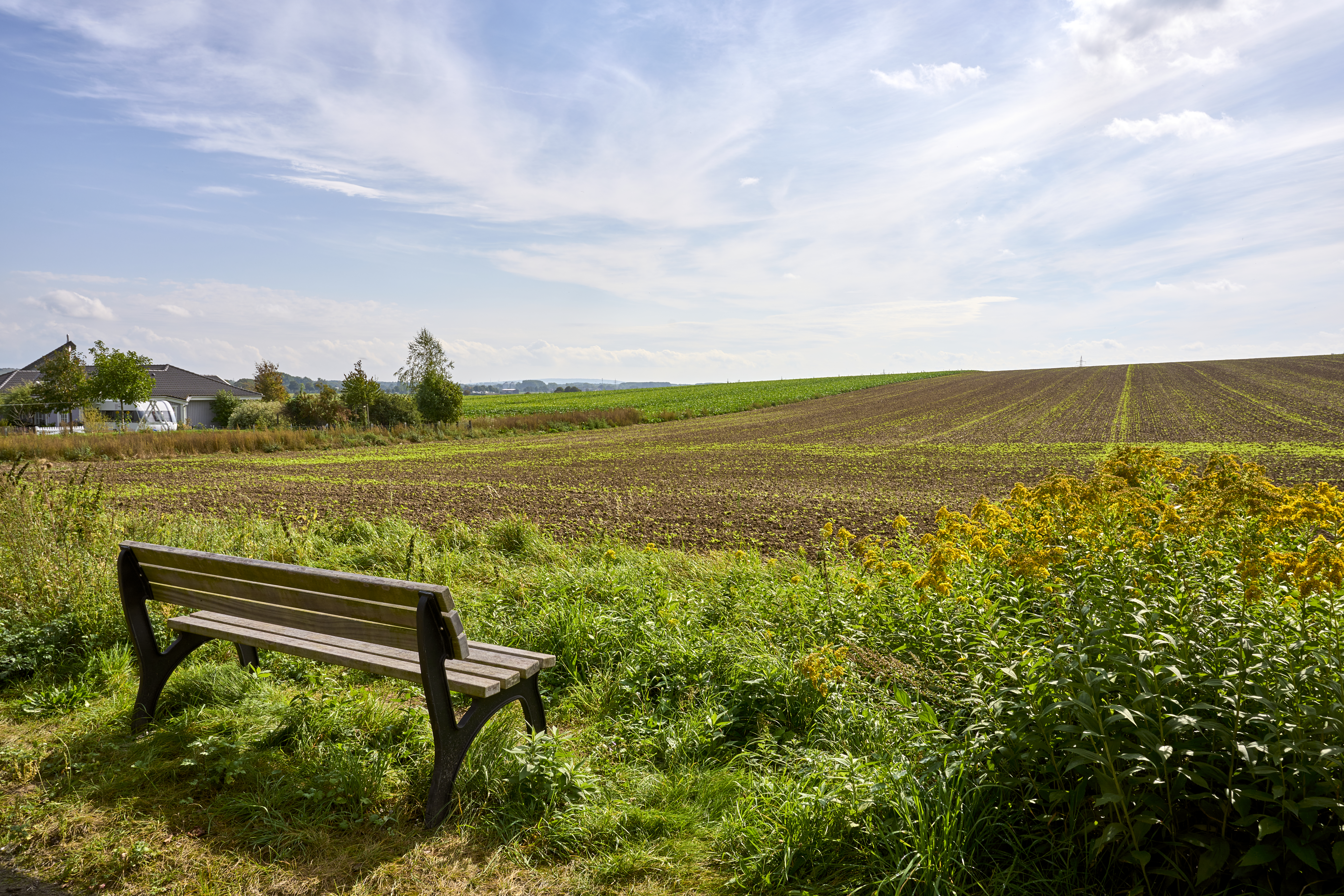 Ruhebank am Ortsrand