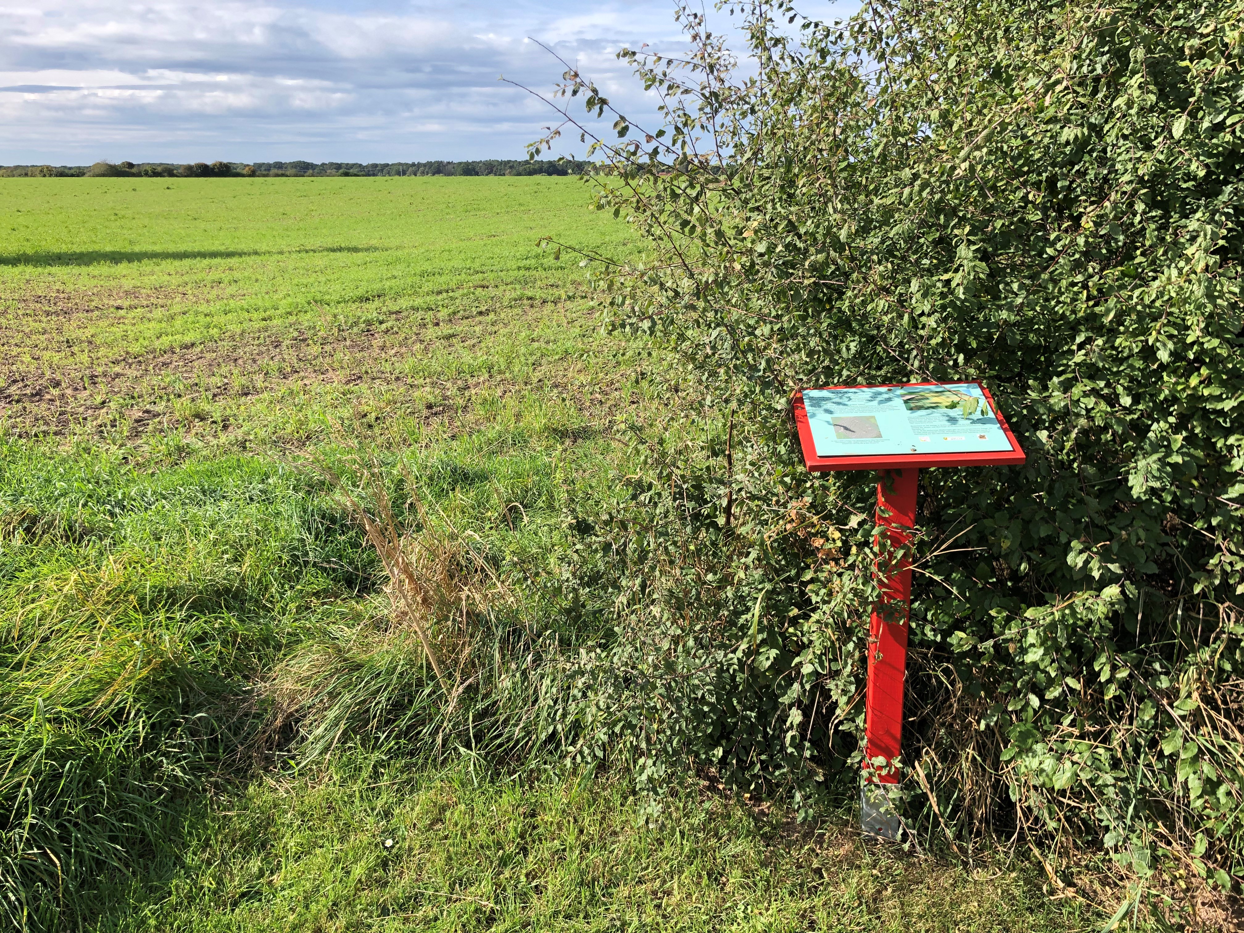 Erdwerk Wellie