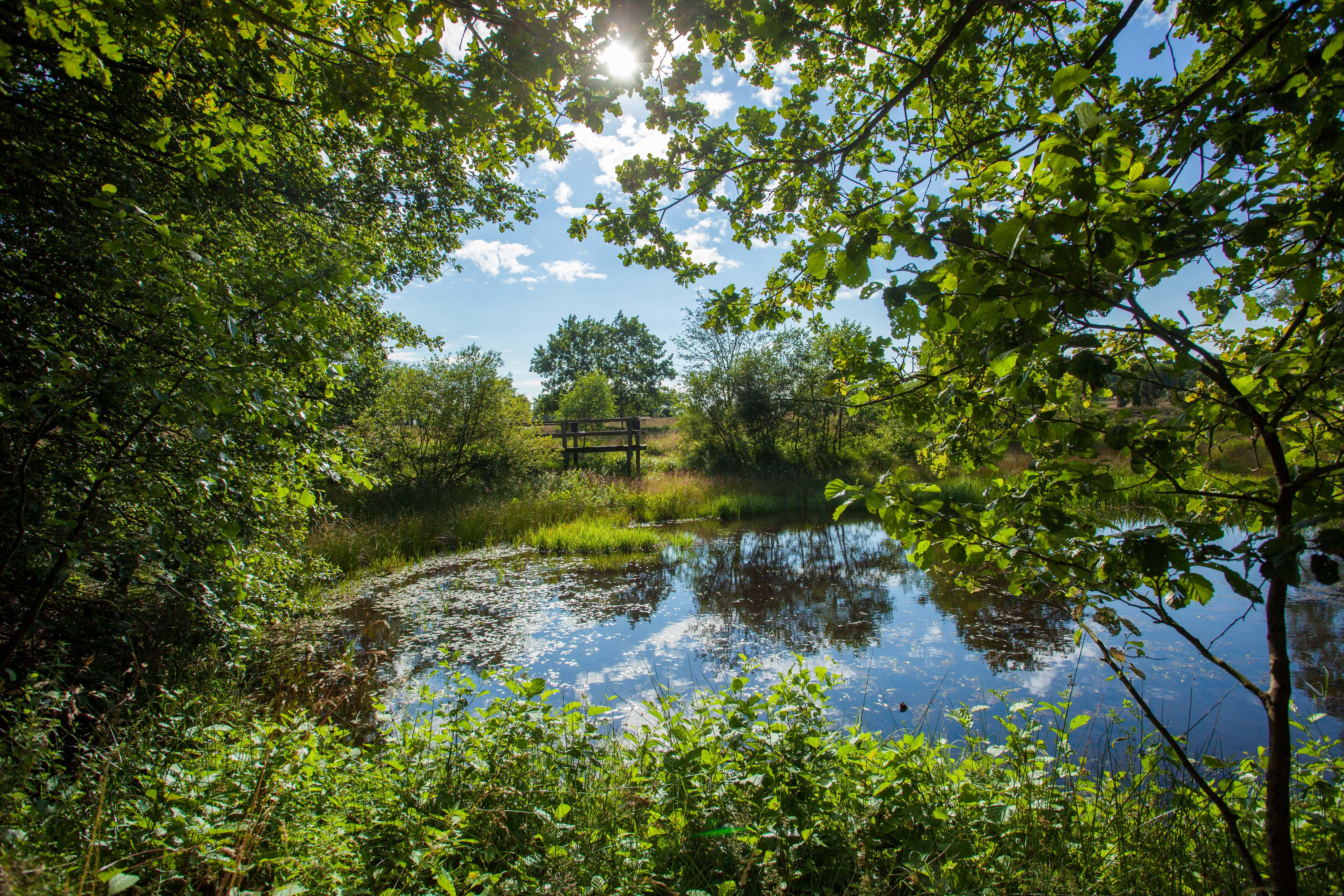 Haverbeeke - Barrierefrei rund um die Haverbeeke