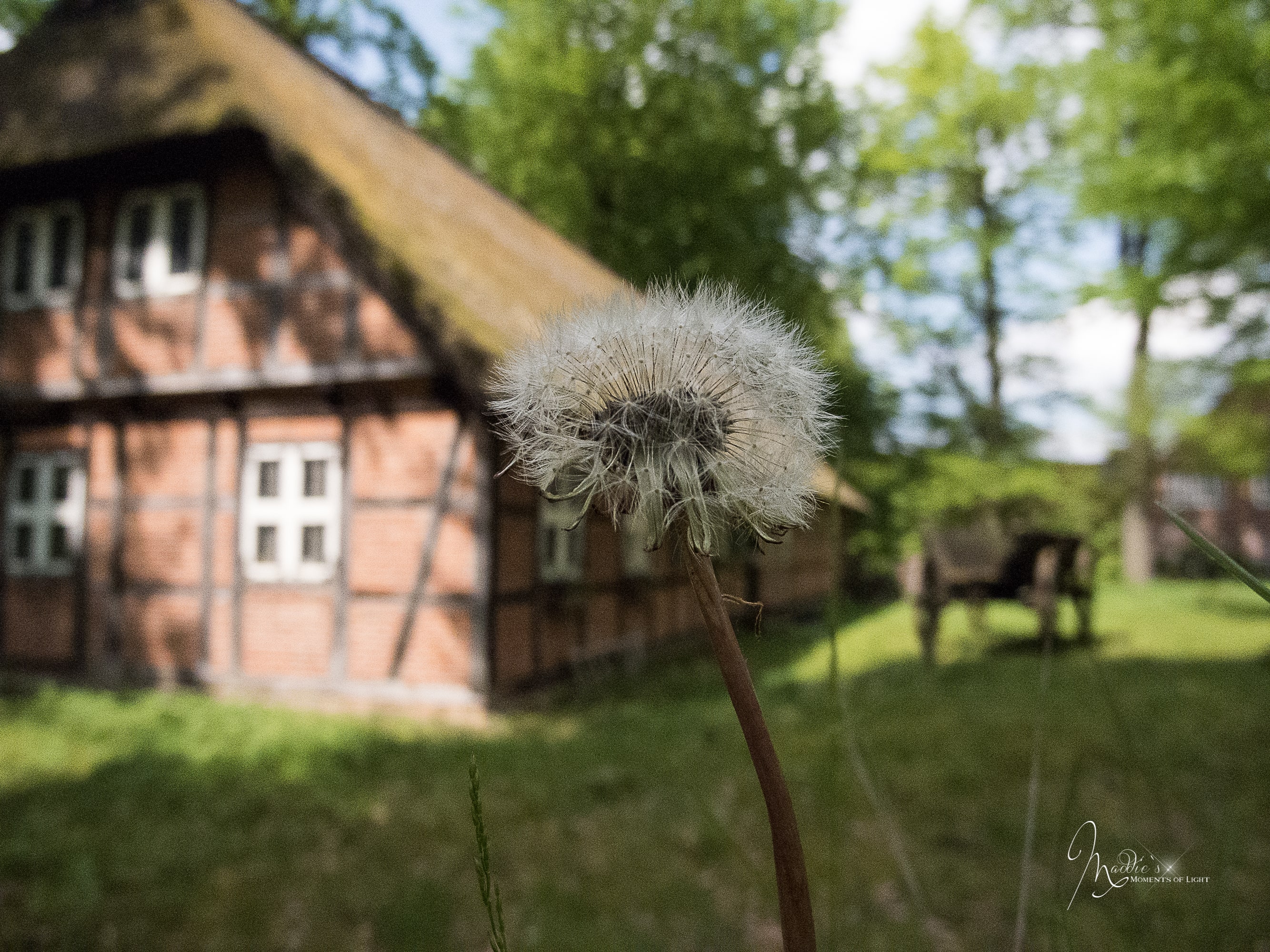 Radenbachtal - Auf sandigen Pfaden durch das Reich der Schnucken