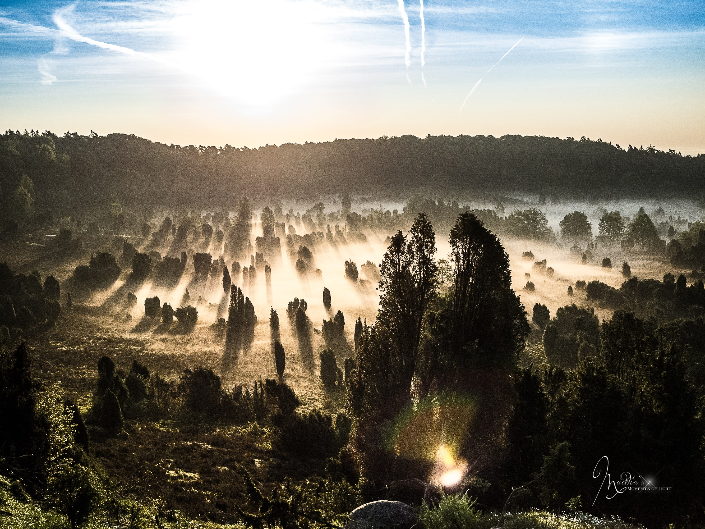 Wilseder Berg - Gipfelglück im Herzen der Heide