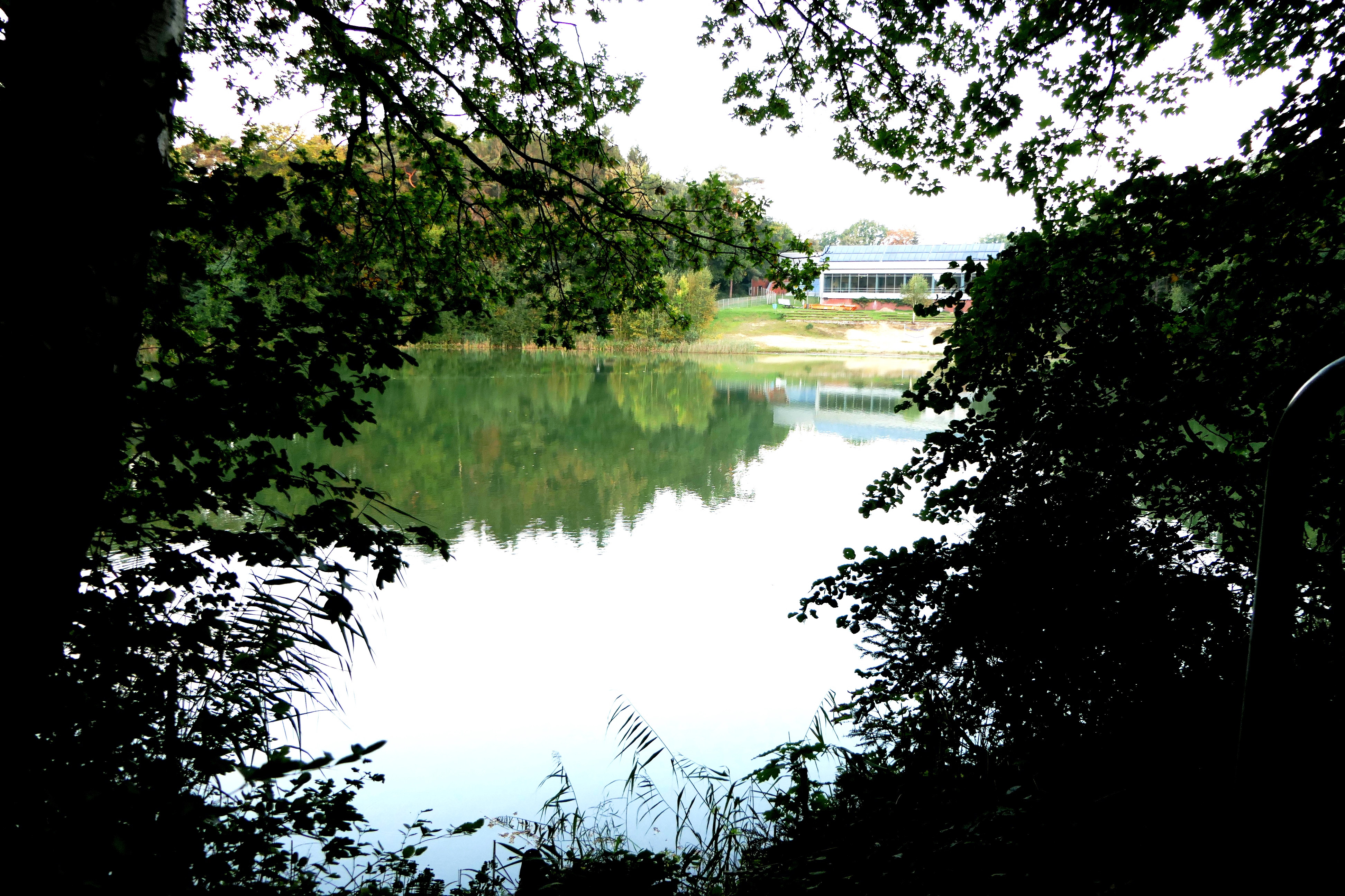 Angelrevier Heidestrandbad und Ziegelkamper See