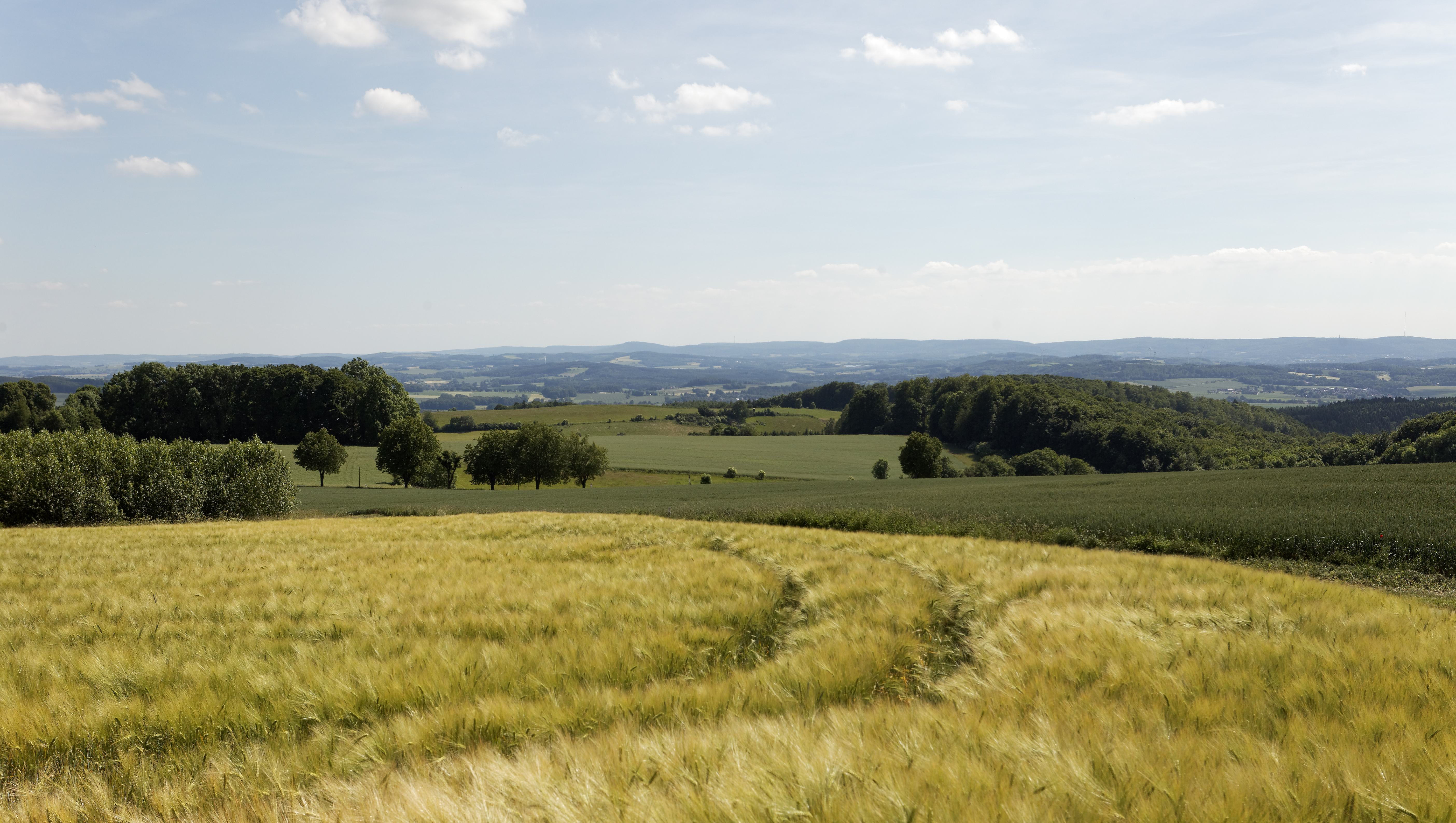 Landschaft am Kleeberg CC BY-SA - LTM.jpg