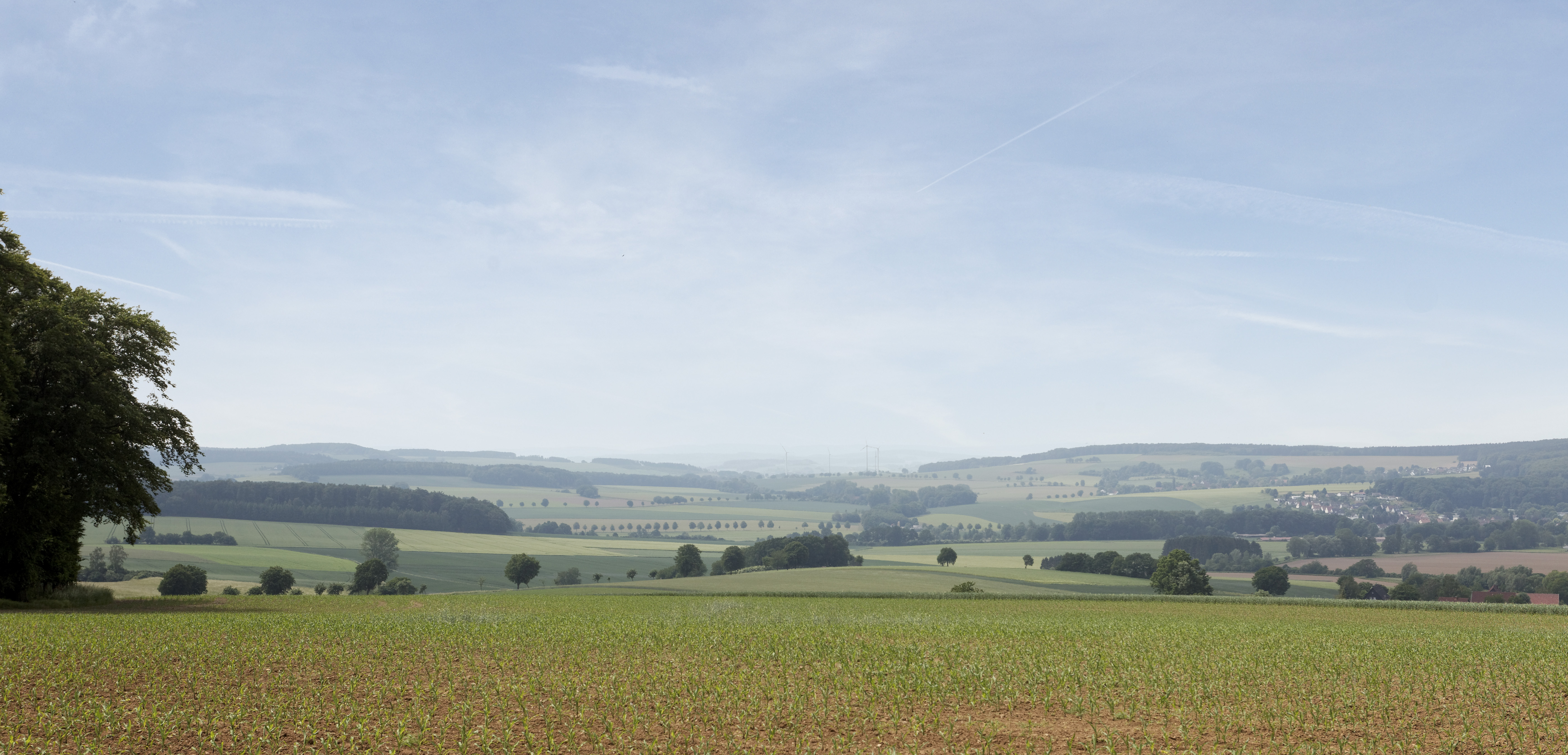 Landschaft bei Alverdissen CC BY-SA - LTM.jpg