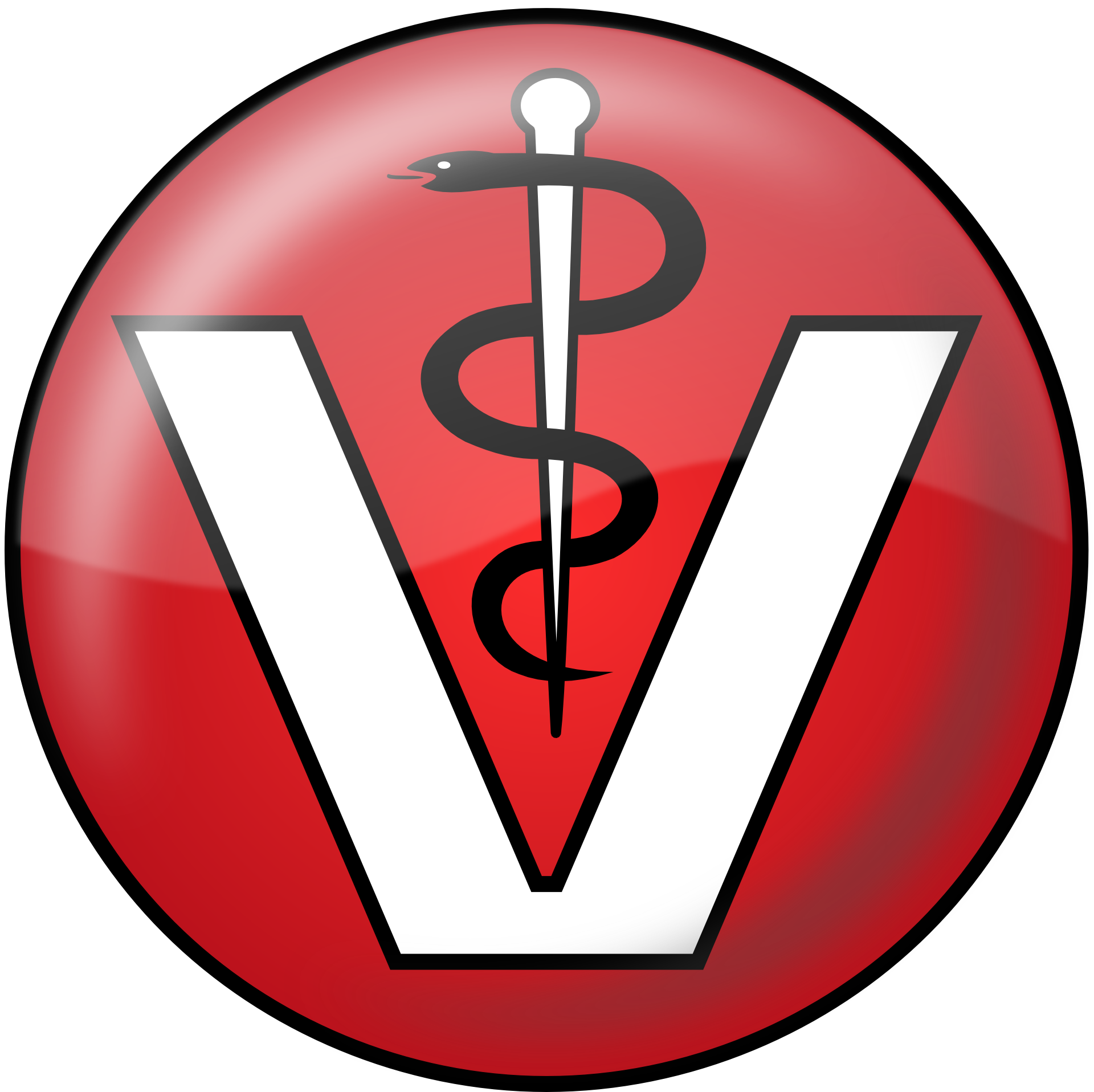 Tierarzt Dr. med. vet. Fritzsche