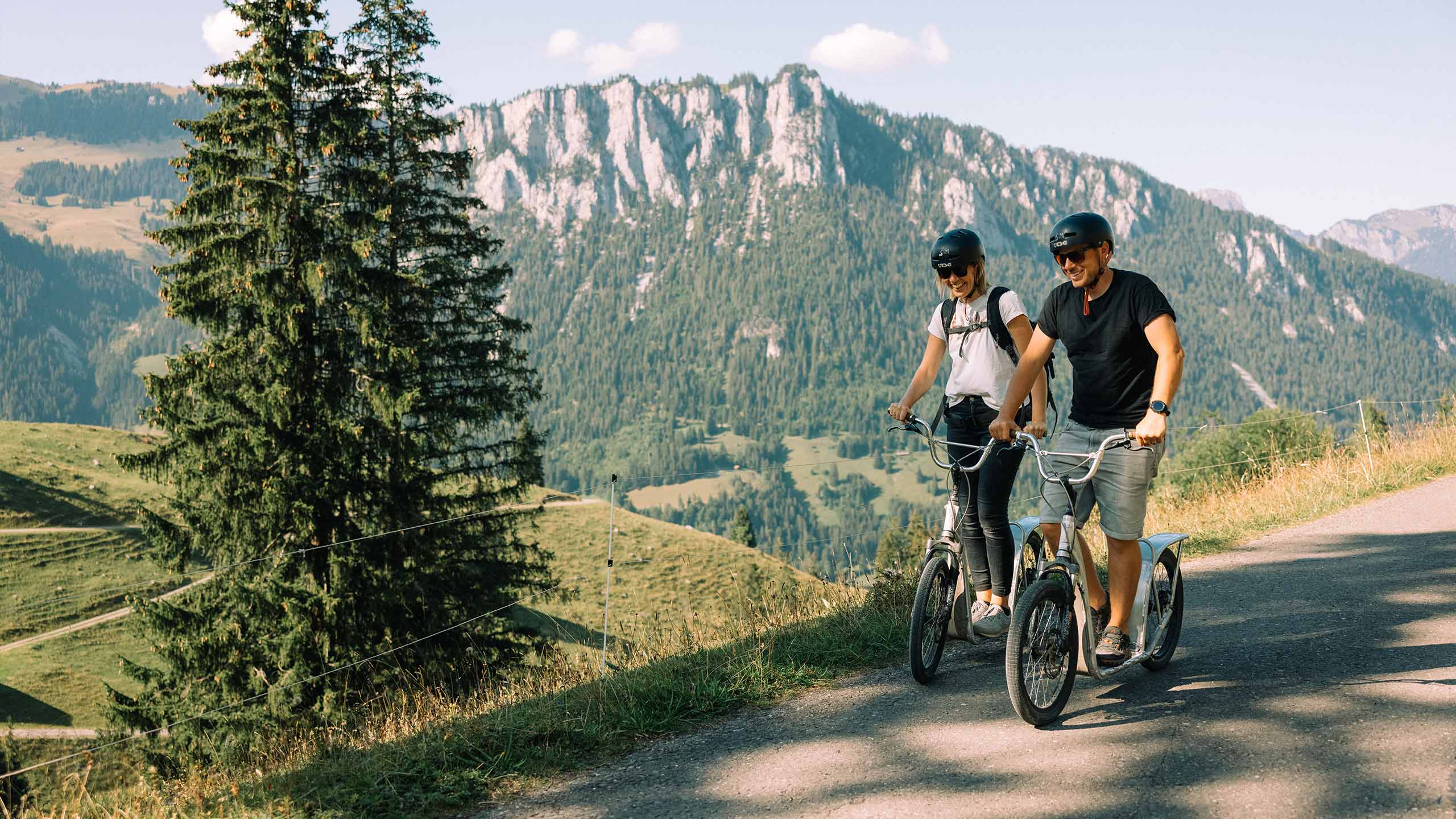trottibike-vermietung-wiriehorn-sommer-trottibiker-strasse-tanne-aussicht.jpg
