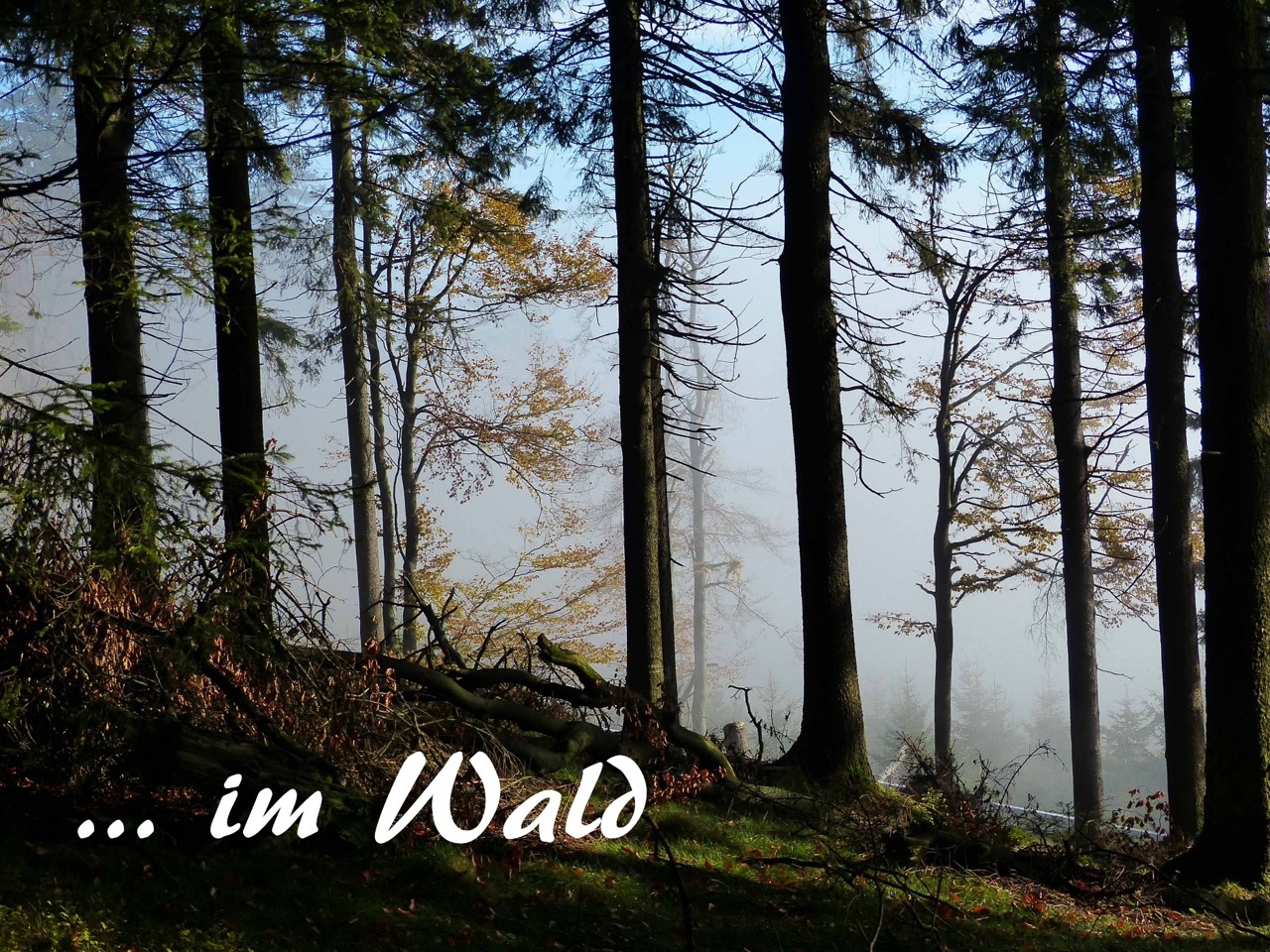 Waldbaden Cuxhaven